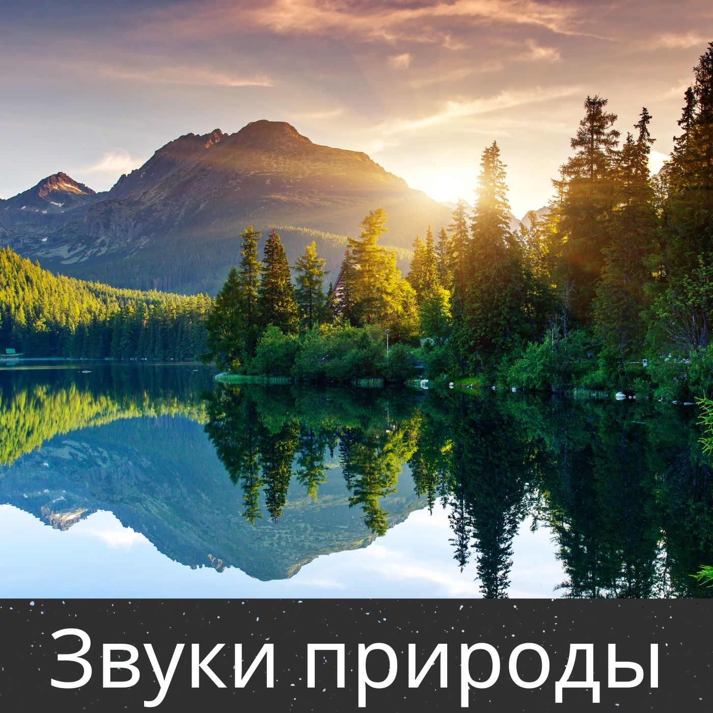 Звуки природы cover art