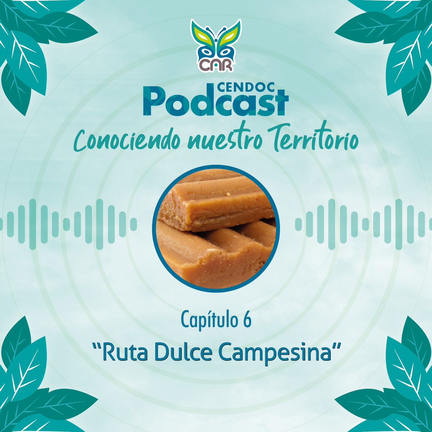 Conociendo nuestro Territorio