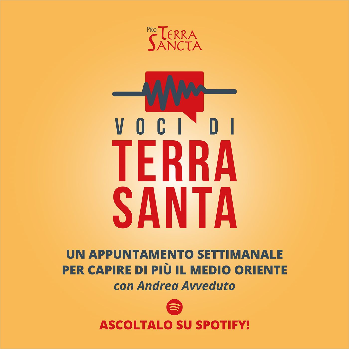 Voci di Terra Santa