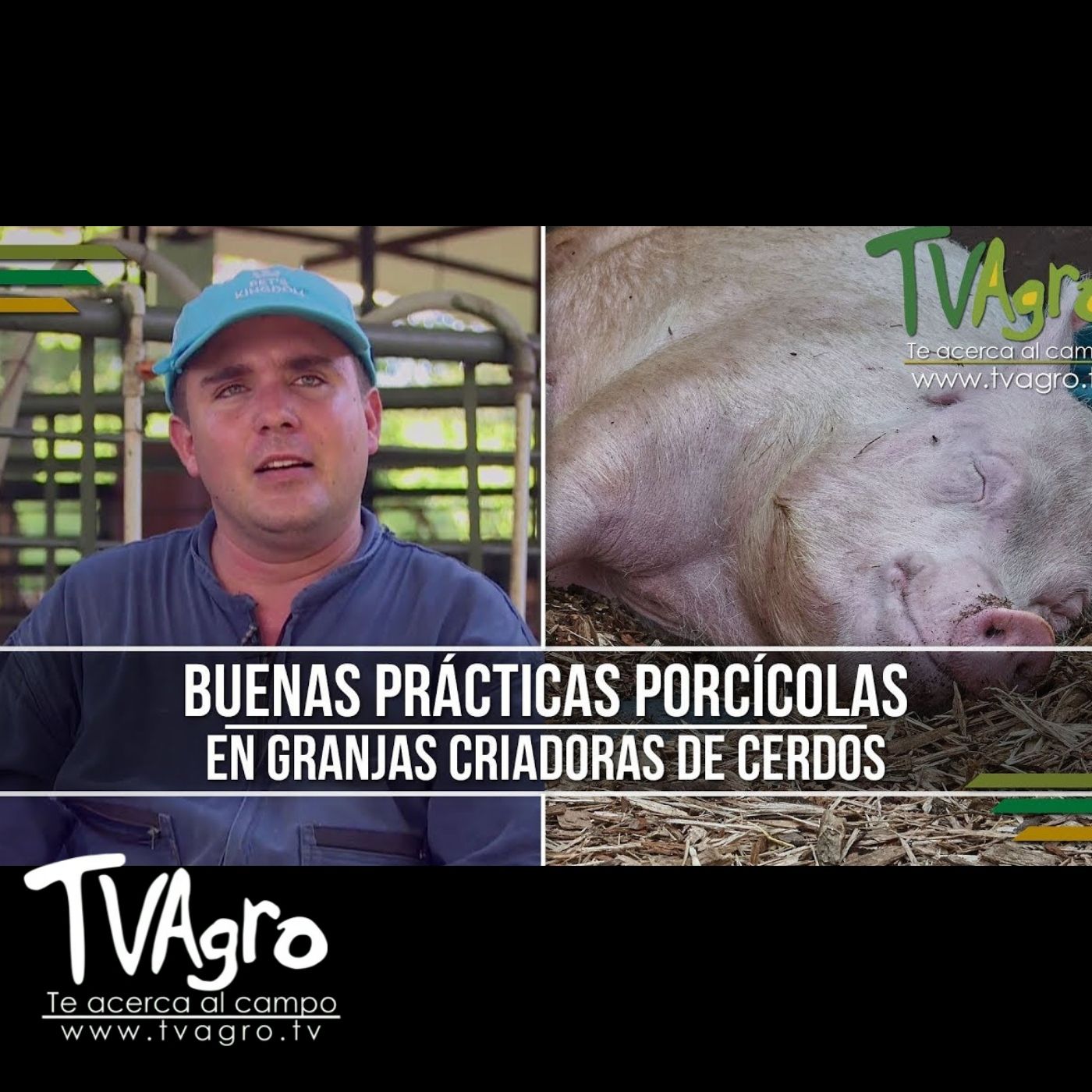 TV AGRO