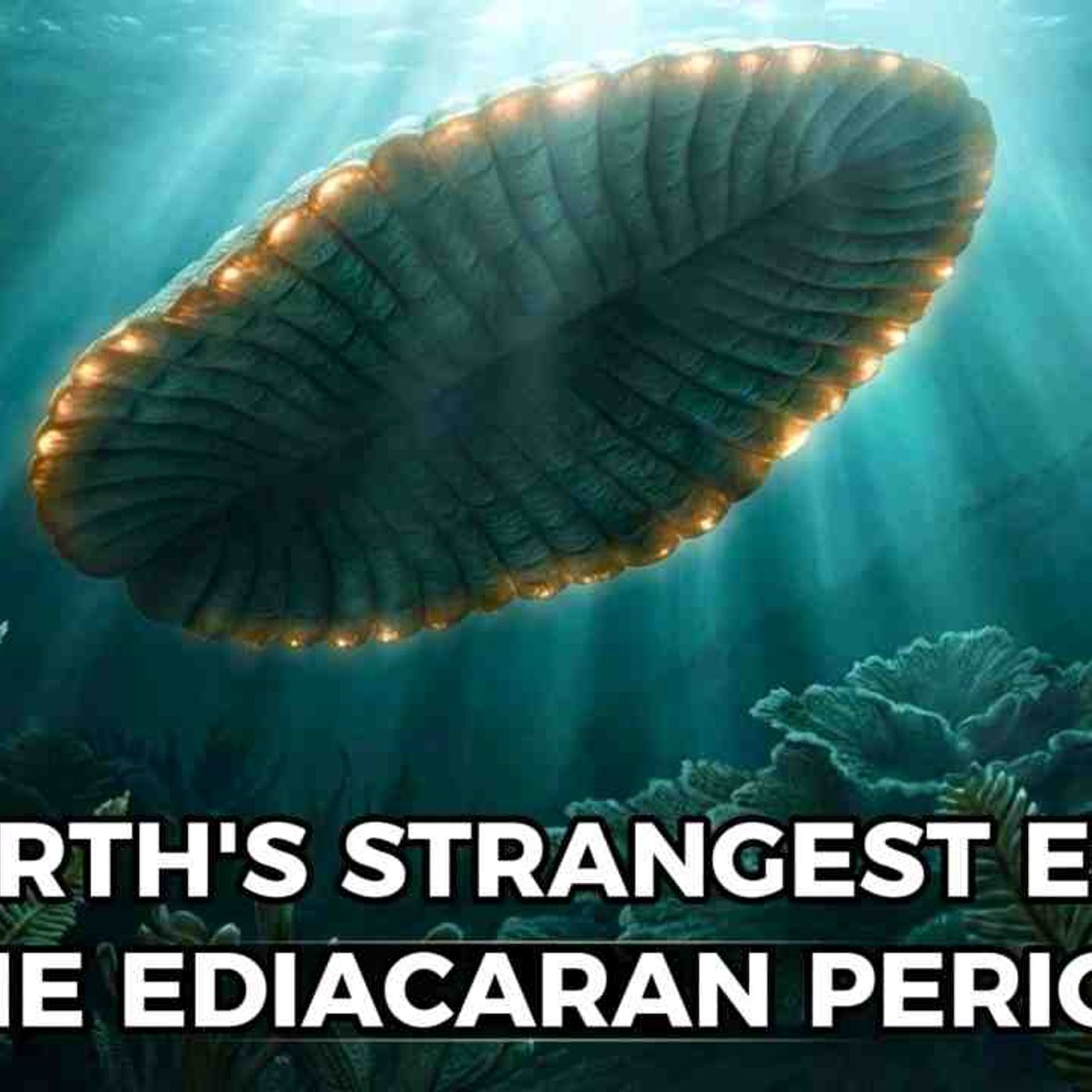 The Ediacaran Period_ When Earth_s First Animals Had No Bones_ No Eyes_ No Chance _ For Sleep episode artwork