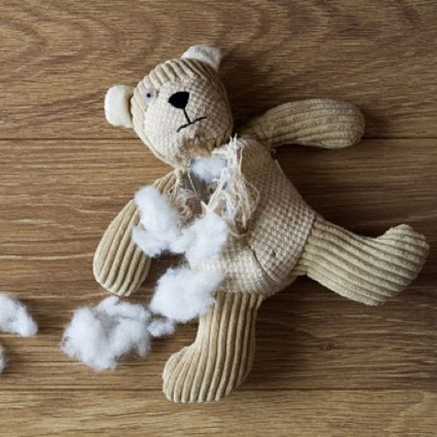 (Smile File) Woman Runs Hospital for Teddy Bears in Bad Shape episode artwork