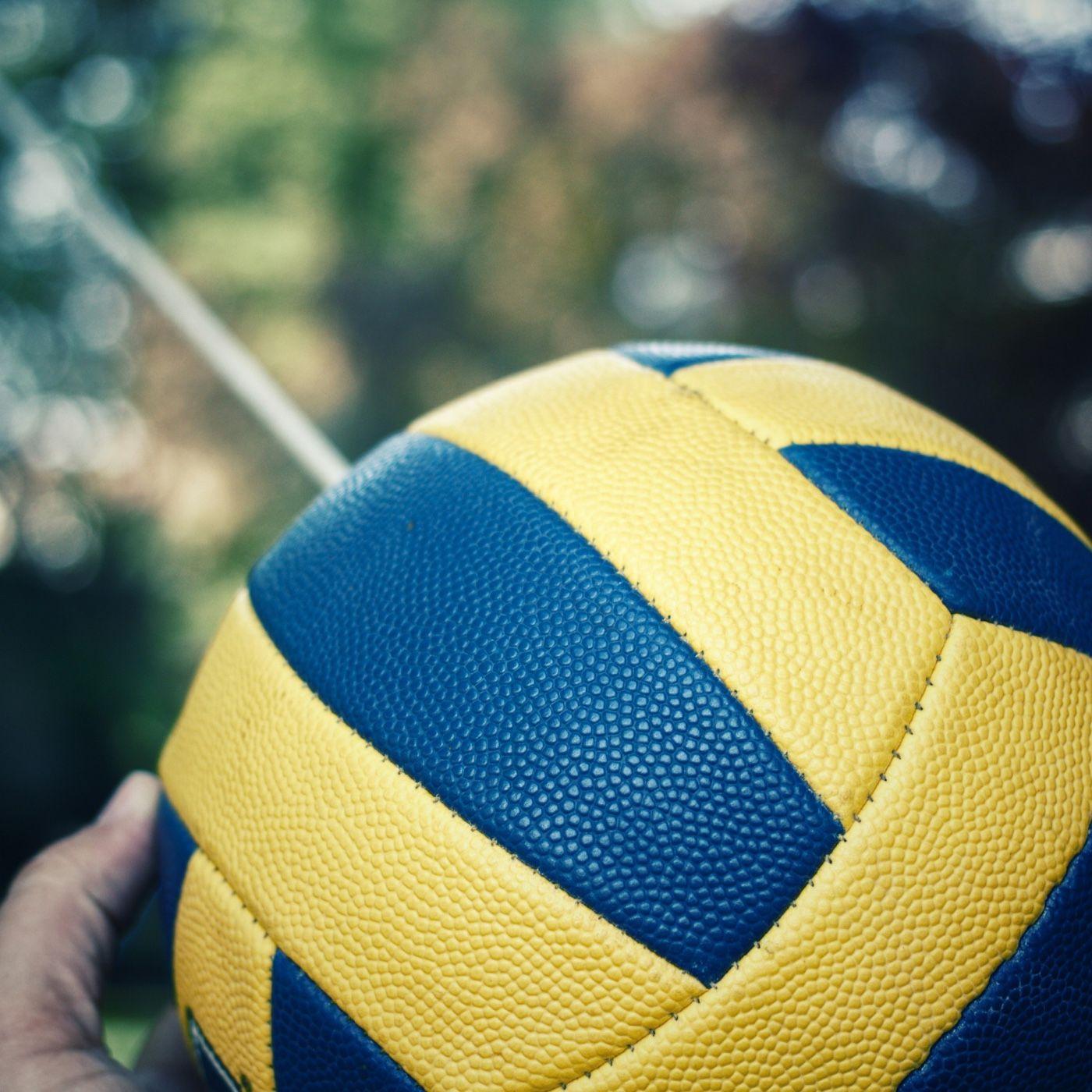 Voleibol al Aire