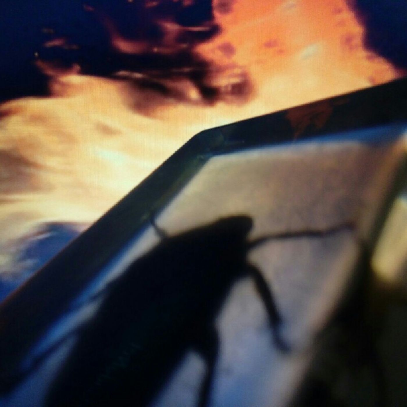 Ishara Ramírez's show cover art