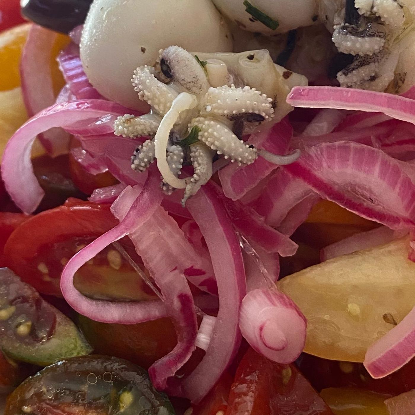 Insalata di pomodori con cipolle marinate e seppioline 🐙 episode artwork