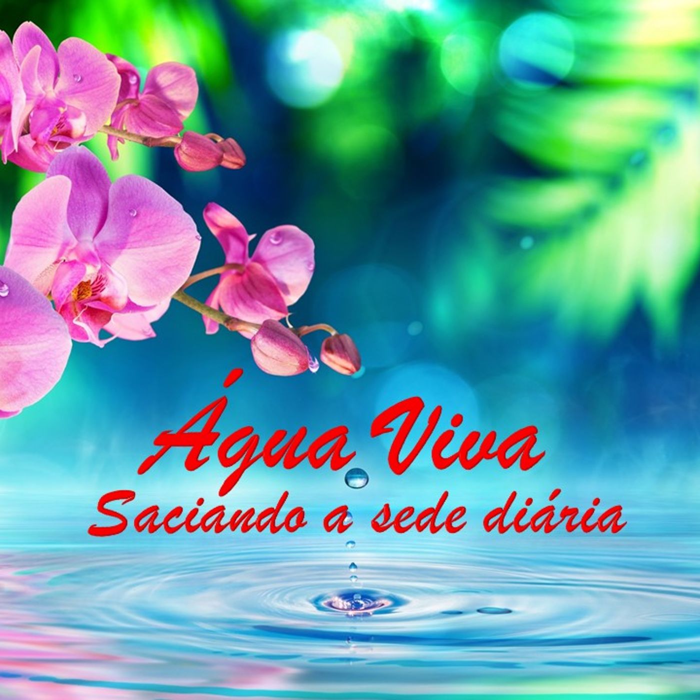 Água Viva-MOMENTOS DE REFLEXÃO