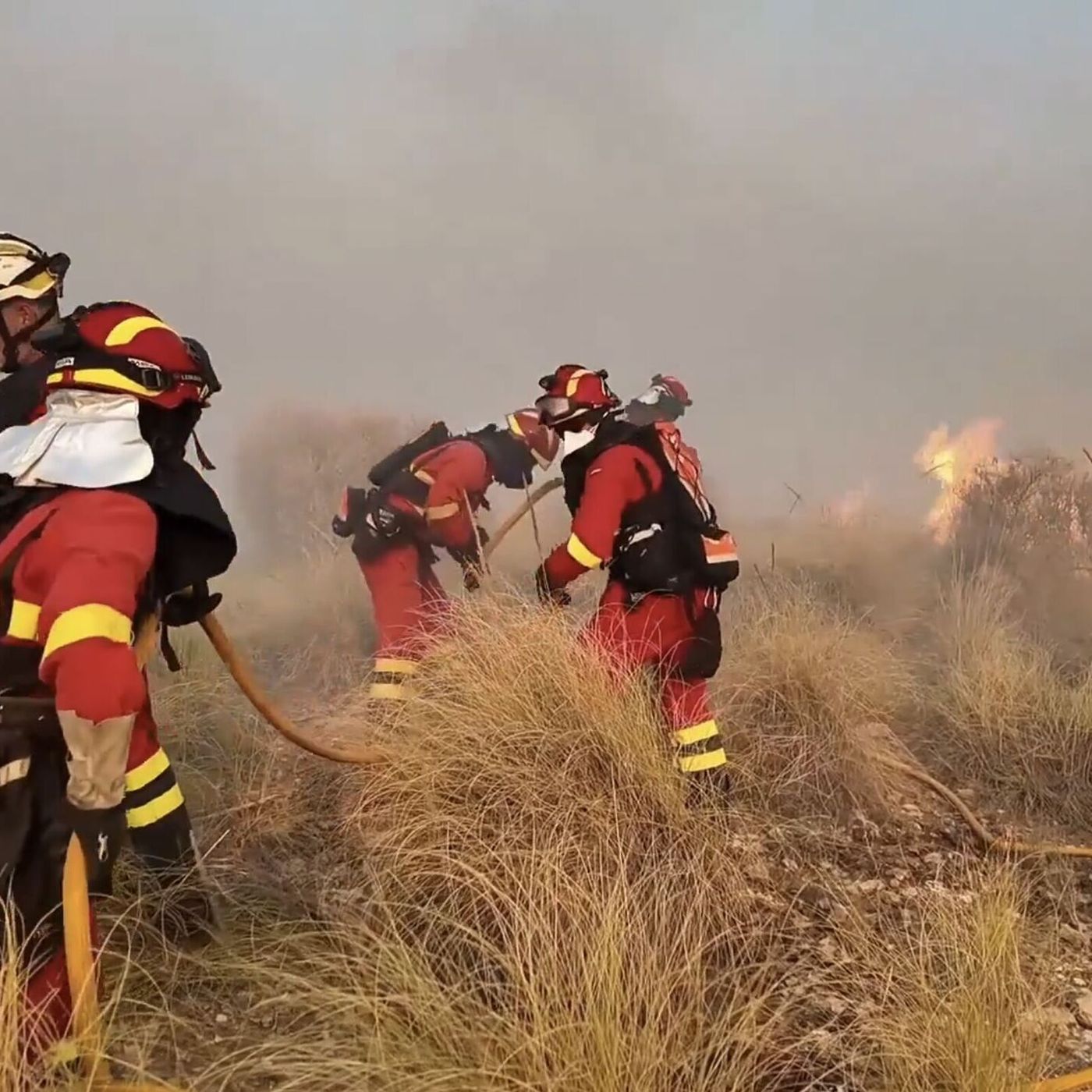 La Trinchera de Llamas del 11/07/2026 - El incendio de Los Gallardos vuelve a poner en jaque la gestión del Gobierno