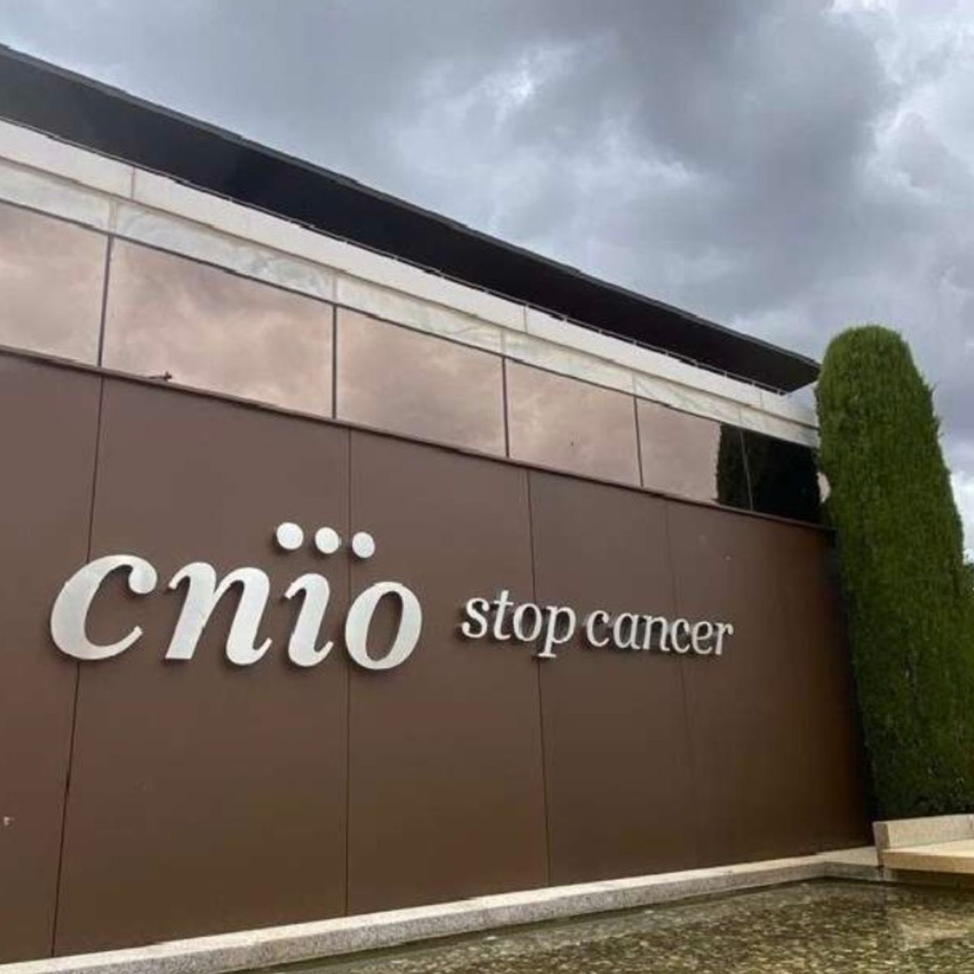 El escándalo en el CNIO: todas las claves y el misterioso accidente de una de las denunciantes