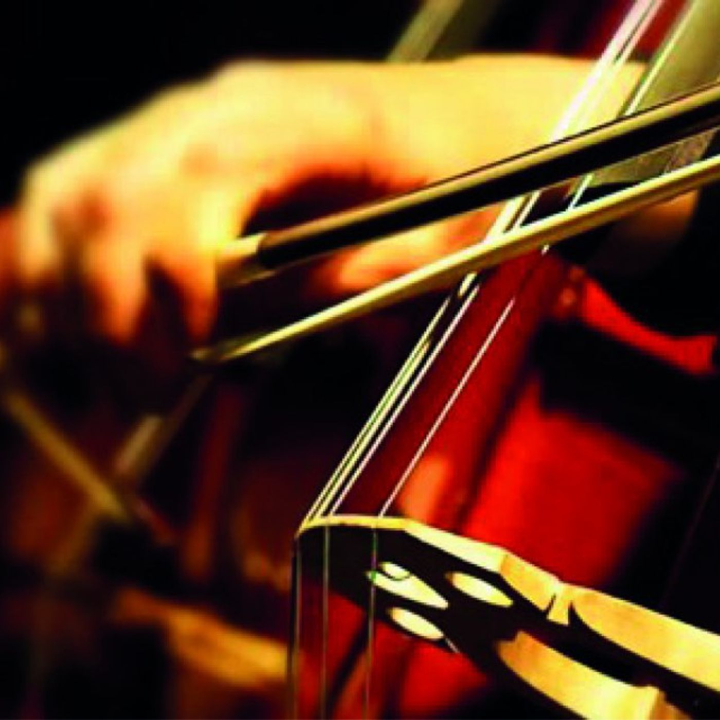 I concerti del mattino