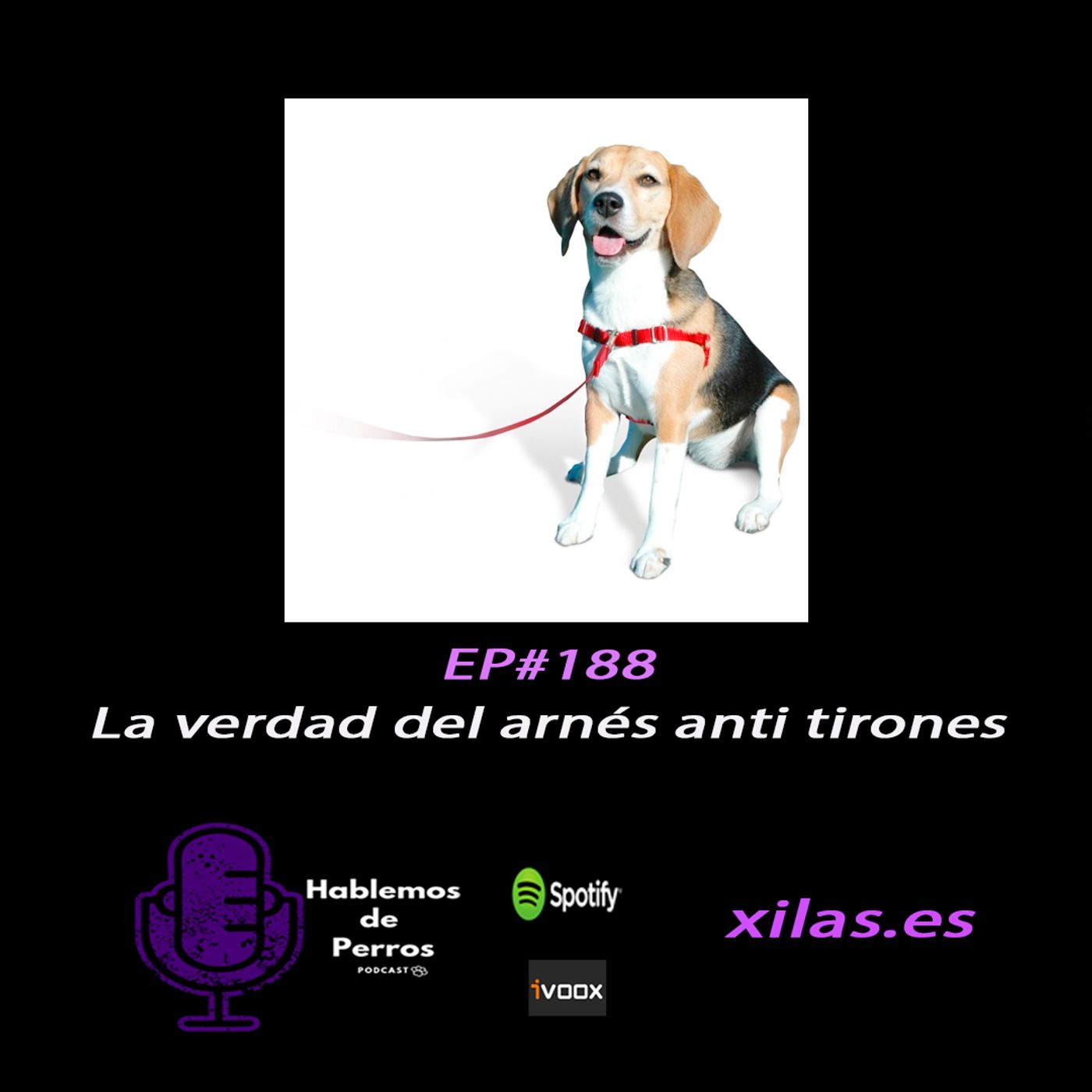 Hablemos de perros