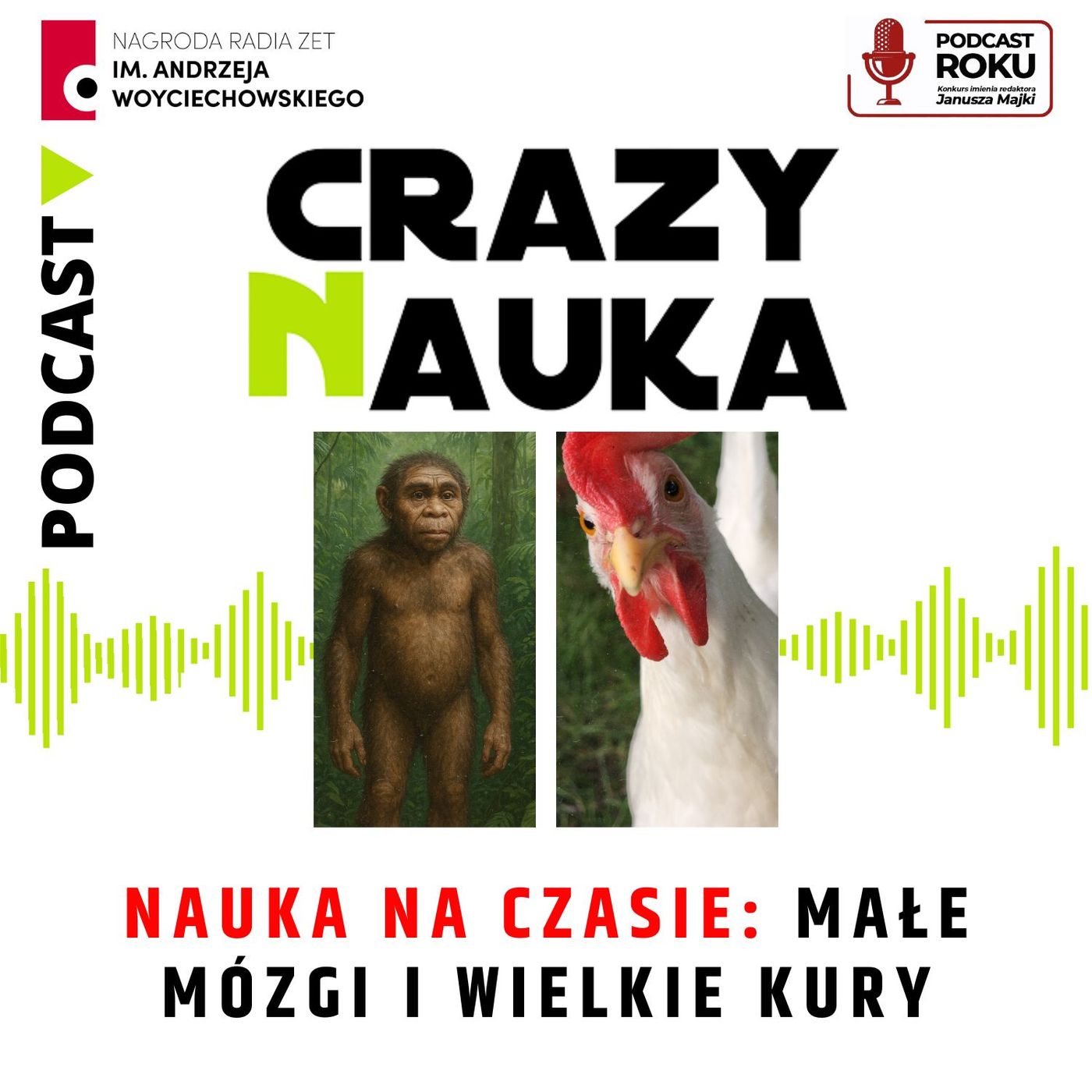 134. Nauka na czasie: małe mózgi i wielkie kury