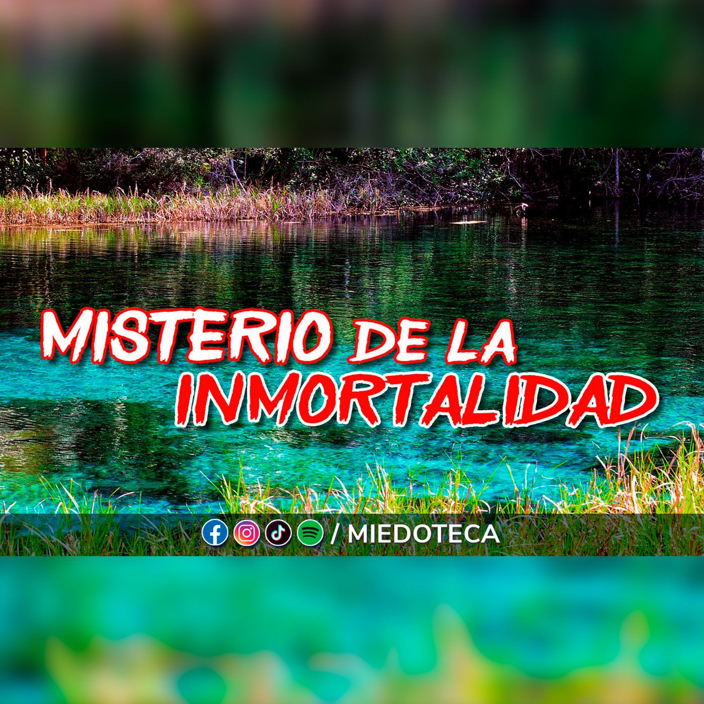 Miedoteca