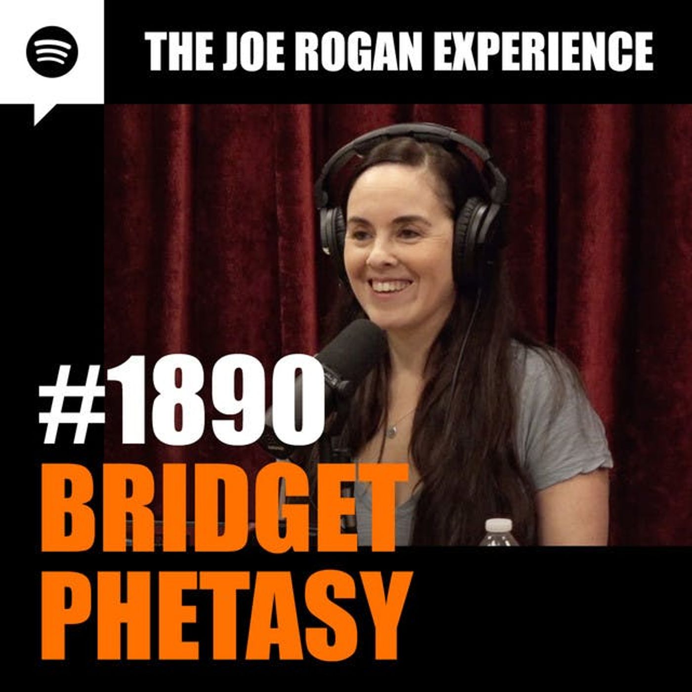 The Joe Rogan Experience