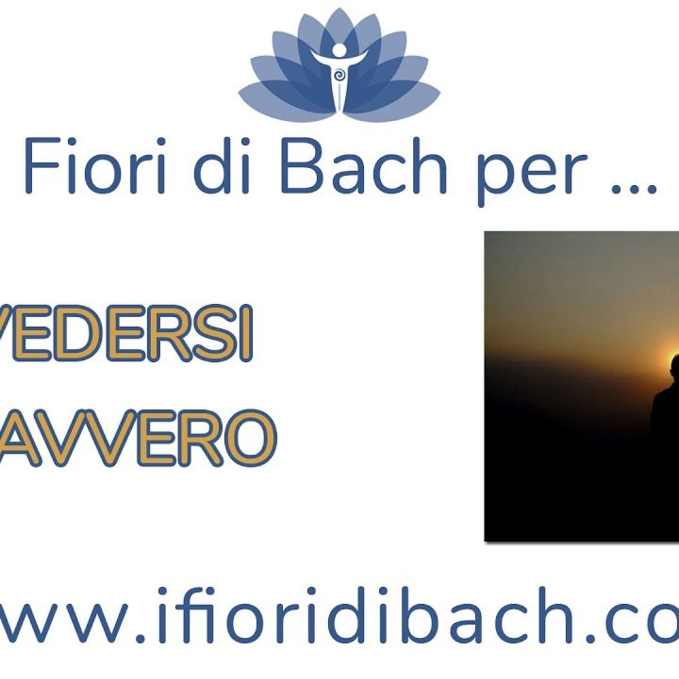 Fiori di Bach per vedersi davvero episode artwork
