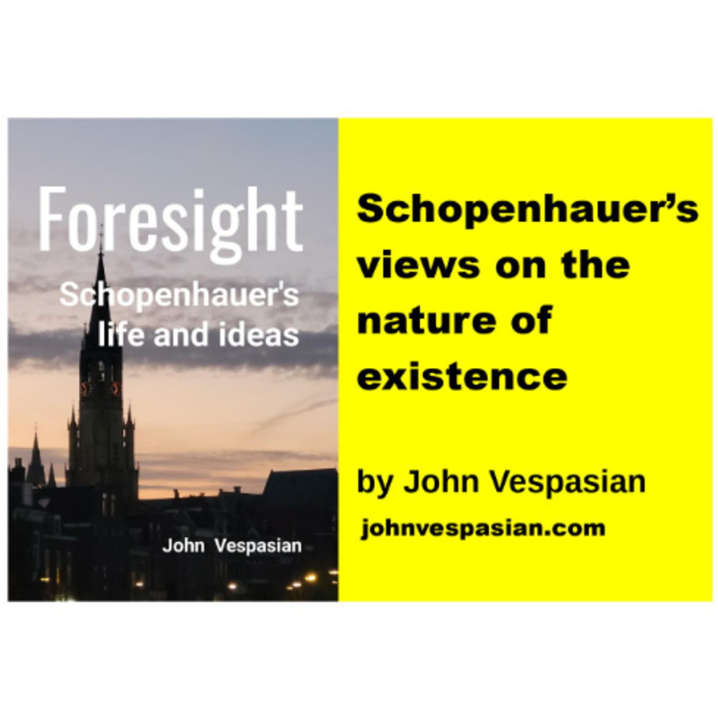 Schopenhauer’s views on the nature of existence episode artwork