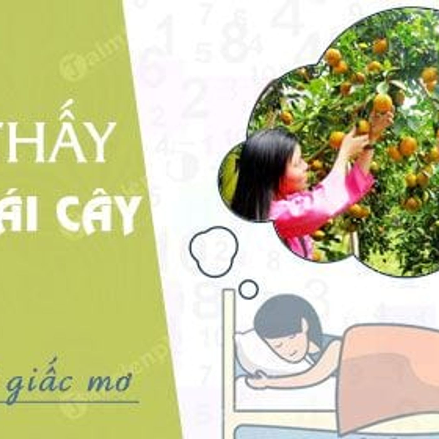 Mơ Thấy Hái Trái Cây: Ẩn Số Đằng Sau Giấc Mơ Lành Mạnh episode artwork