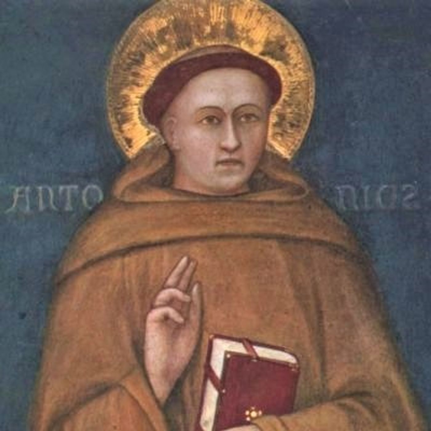 Tredicina di S. Antonio 2019
