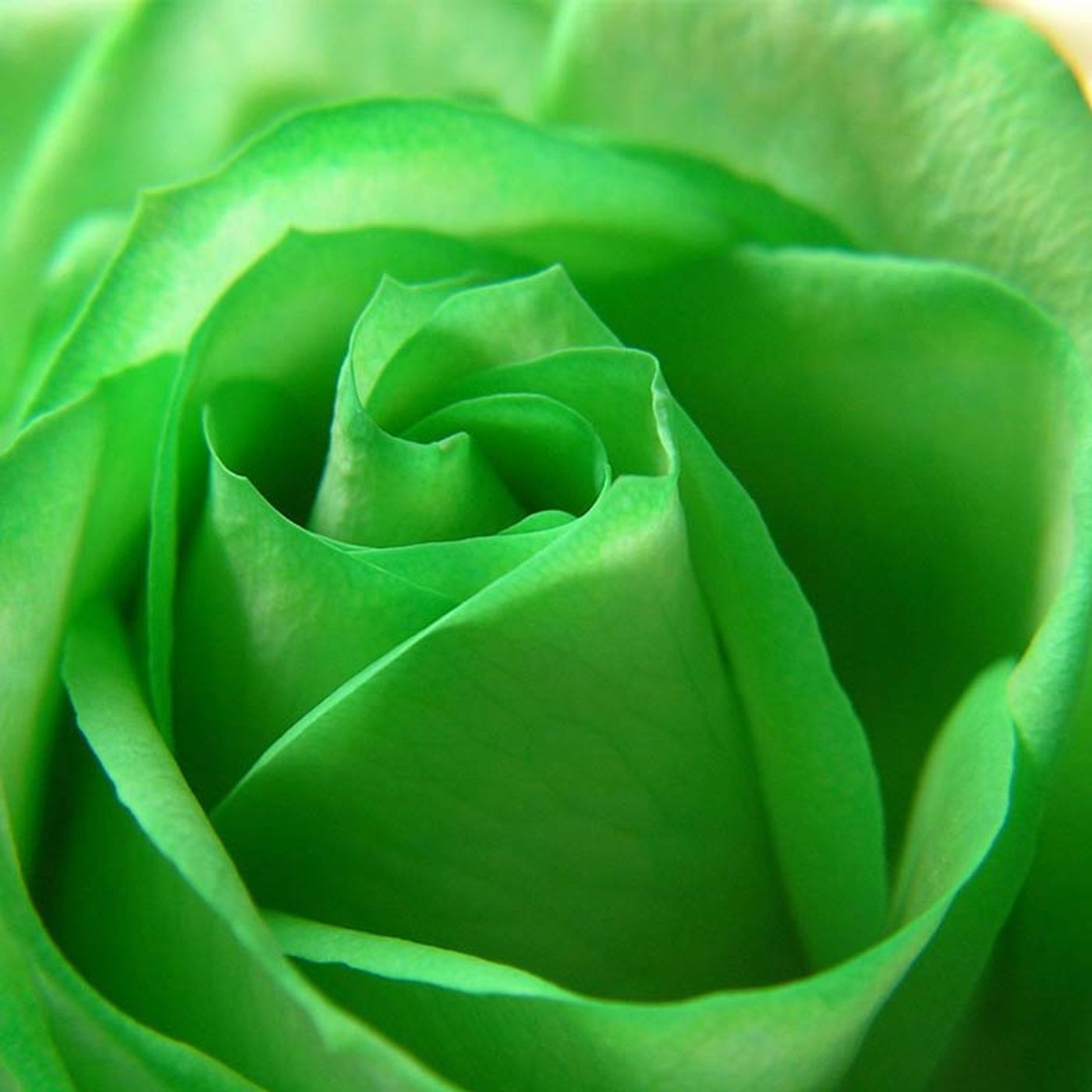 Il colore verde nel Feng Shui episode artwork