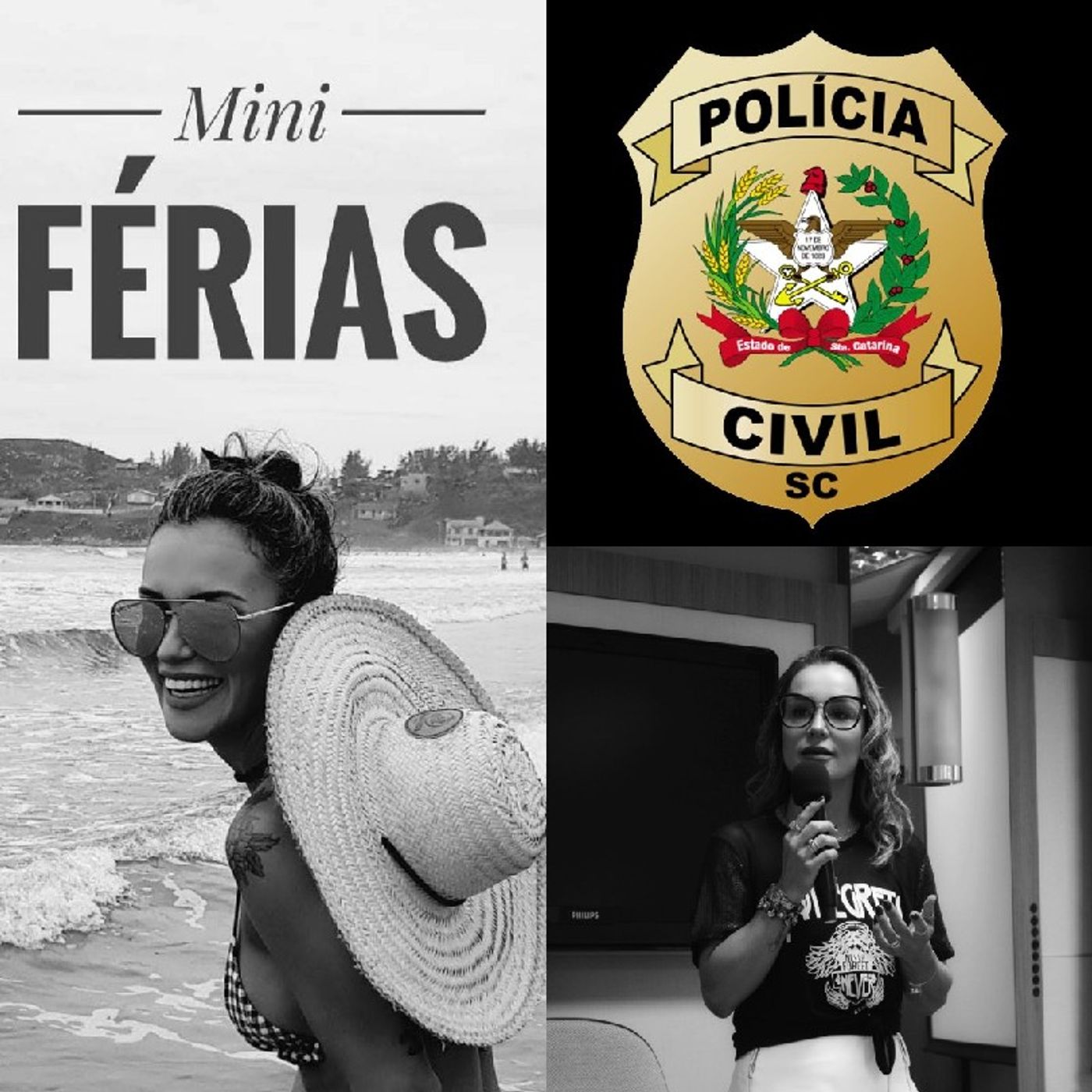 Nosso Direito Constitucional