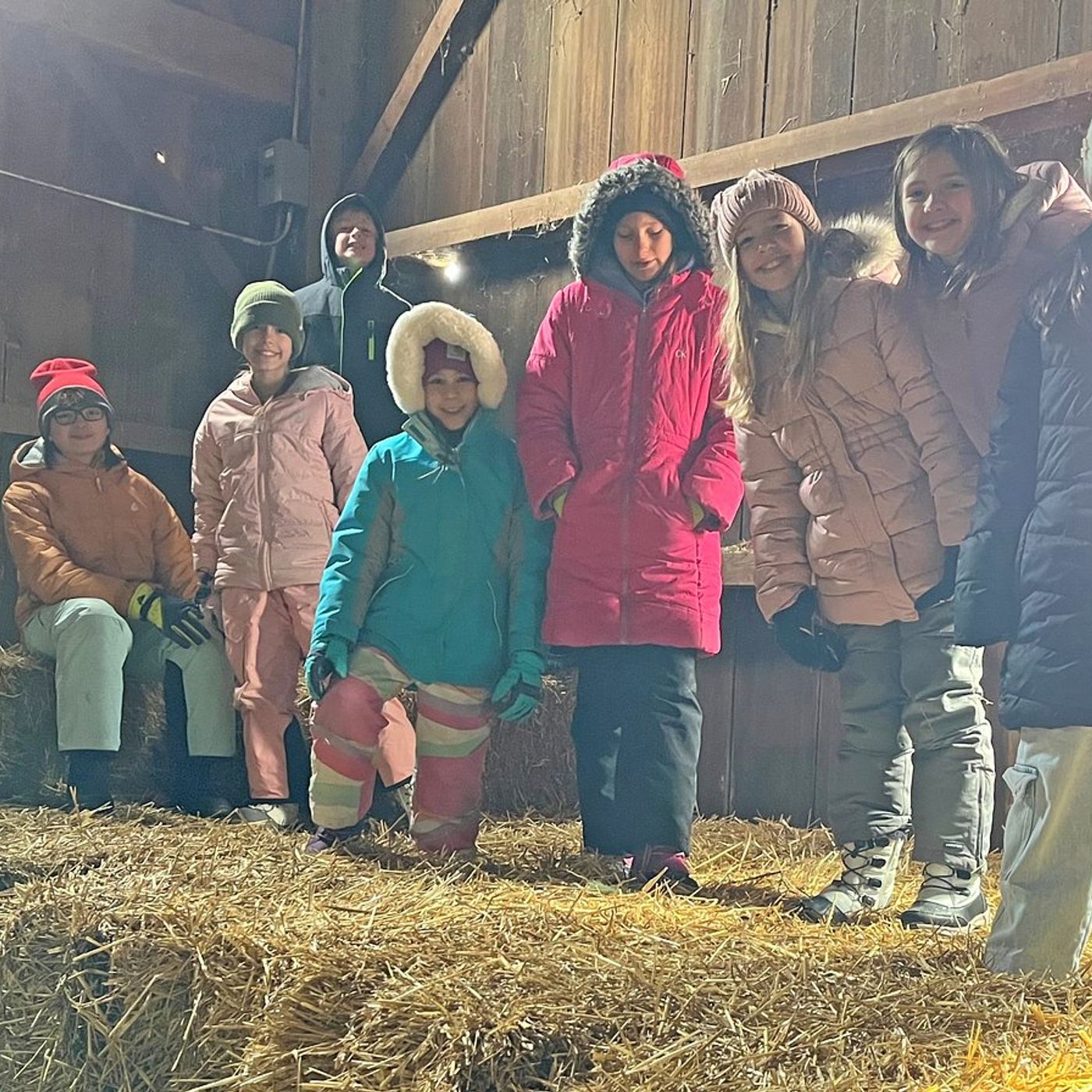 Winter at Primrose Farm: Where the season shifts, but learning never stops episode artwork