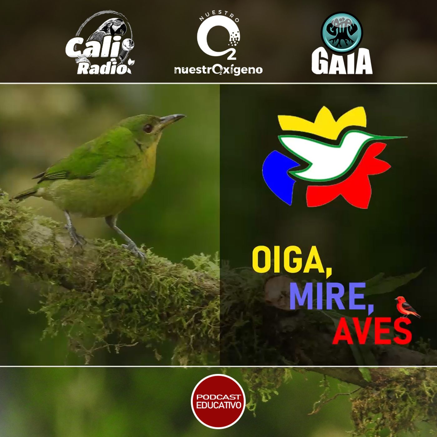2025 Nuestro Oxigeno 04- Abril