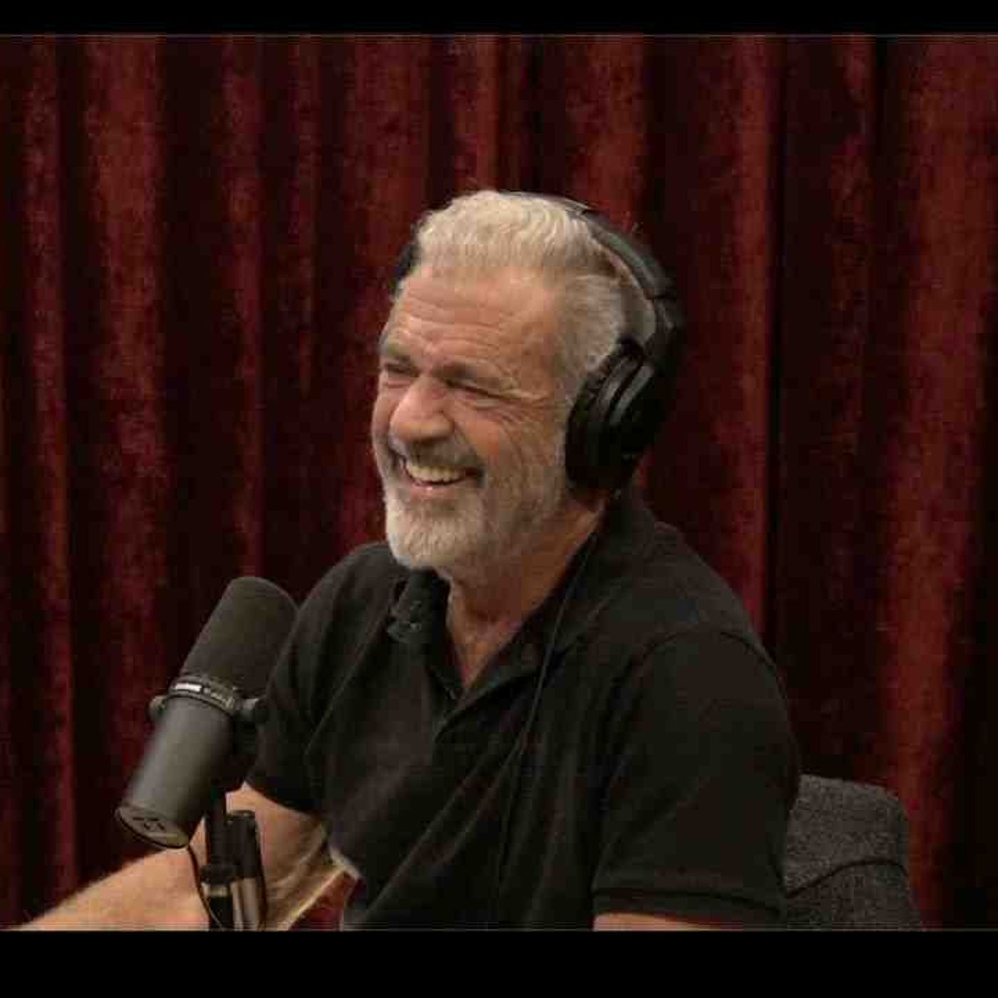 Joe Rogan Experience _2254 - Mel Gibson episode artwork