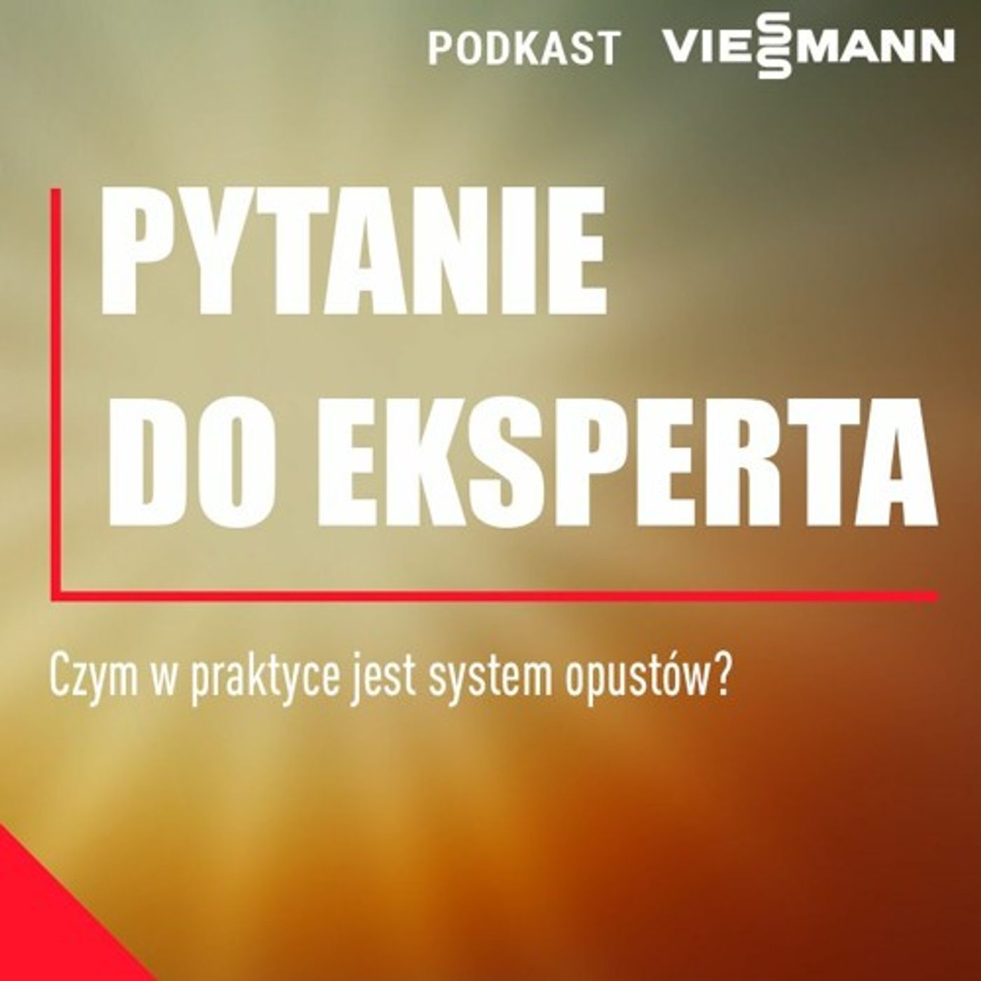 Podcast Viessmann PL