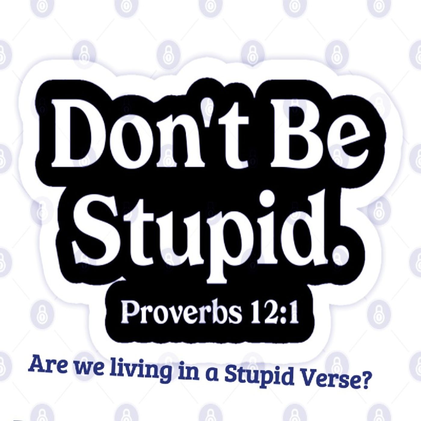 Welcome to The Stupid Verse. Episode 147 - Dark Skies News And information episode artwork