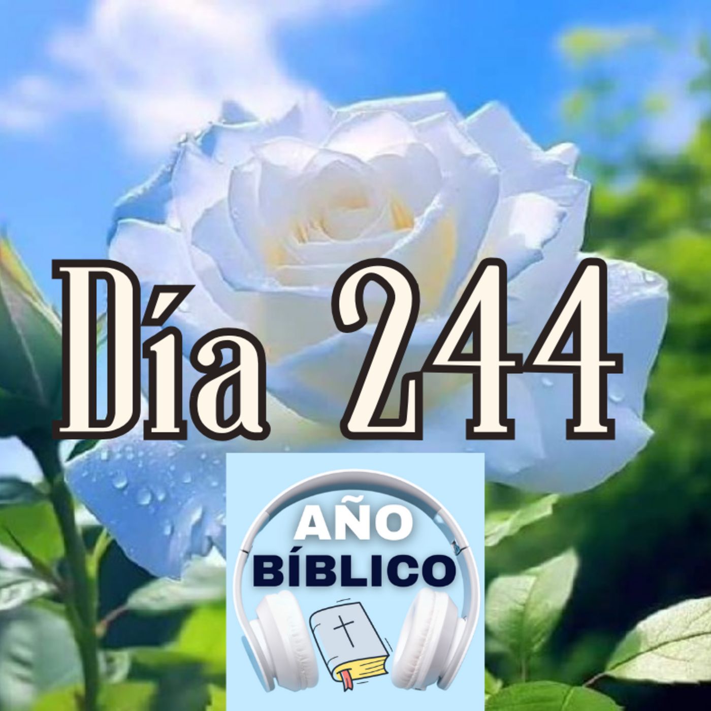 Día 244 - Salmo 102:6-11, Eclesiastés 10-12 y 2 Corintios 4 episode artwork