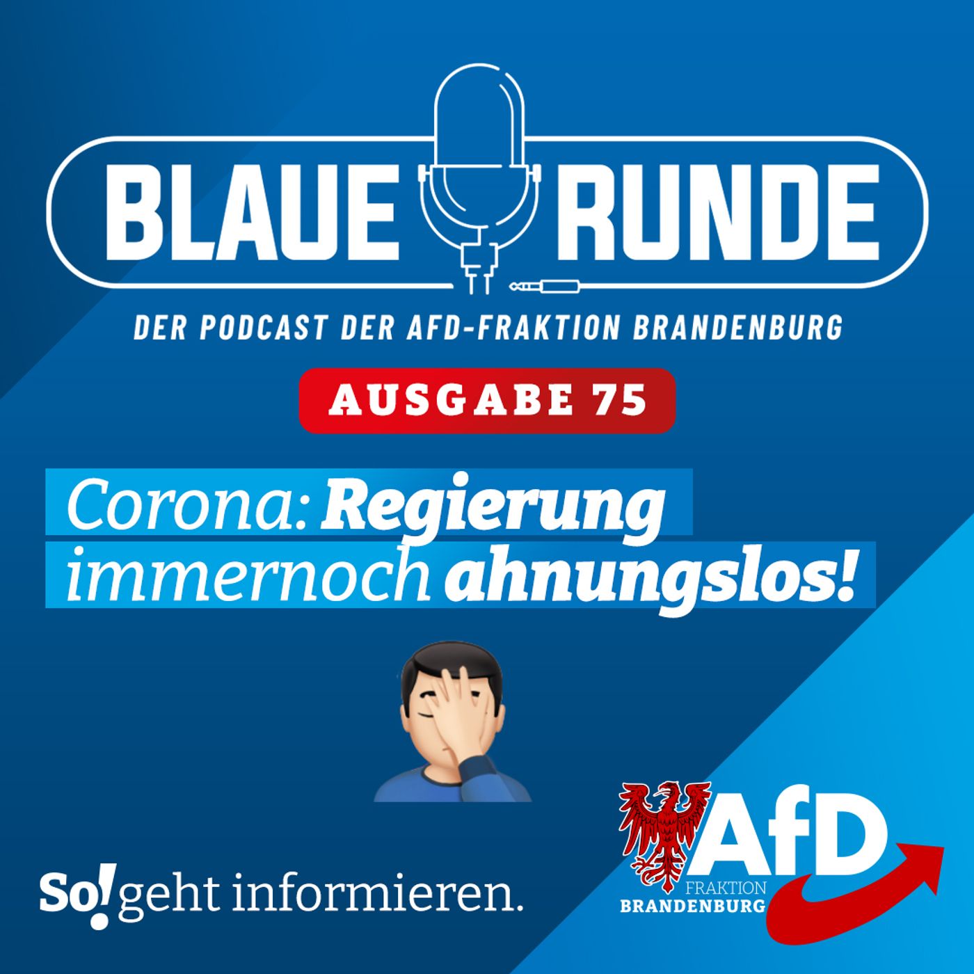 Corona: Regierung immer noch ahnungslos! | Die BLAUE RUNDE, Ausgabe 75/23 vom 17. September 2023 episode artwork