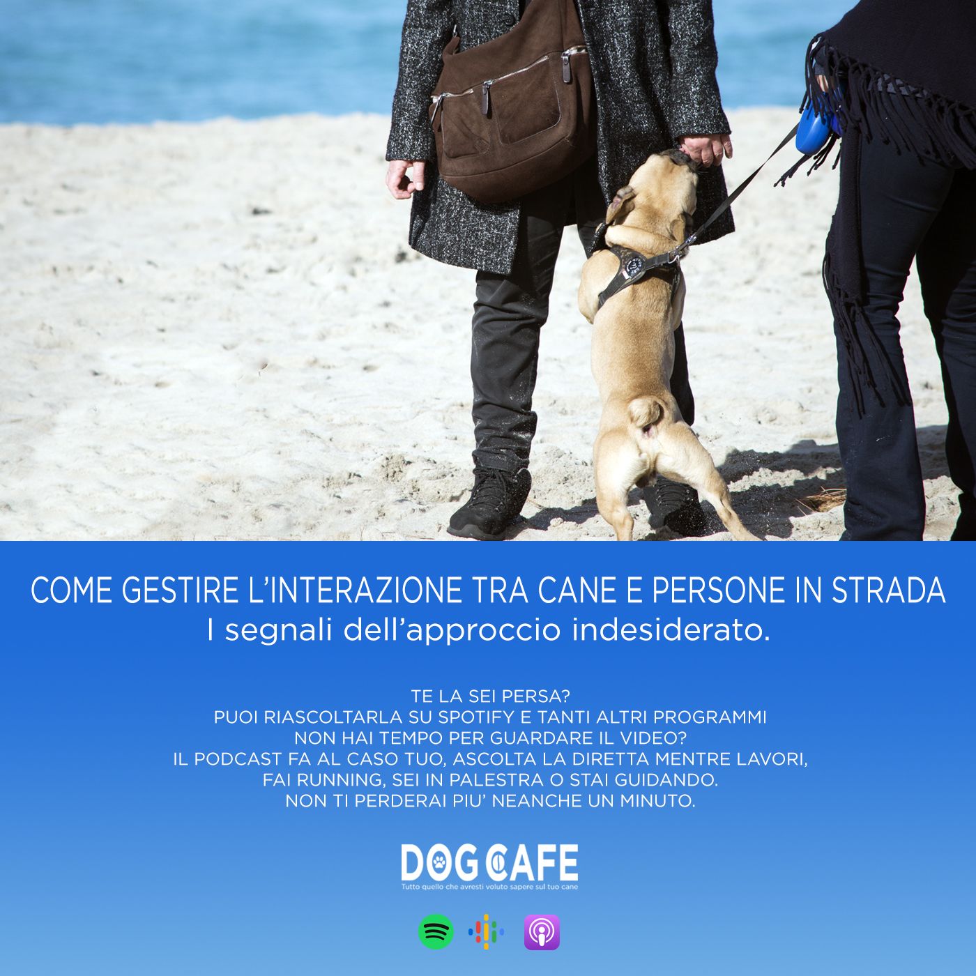 Dog Cafe Podcast