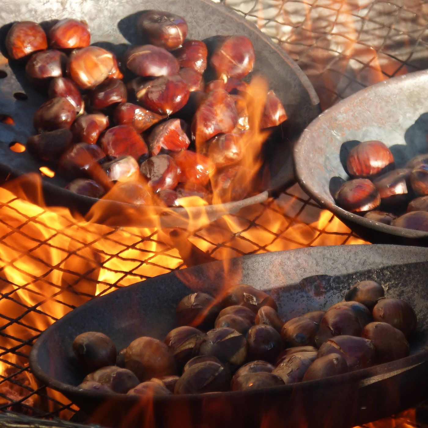 Castagne ,marroni ...proprietà benefiche ,ricette e tante altre curiosità episode artwork