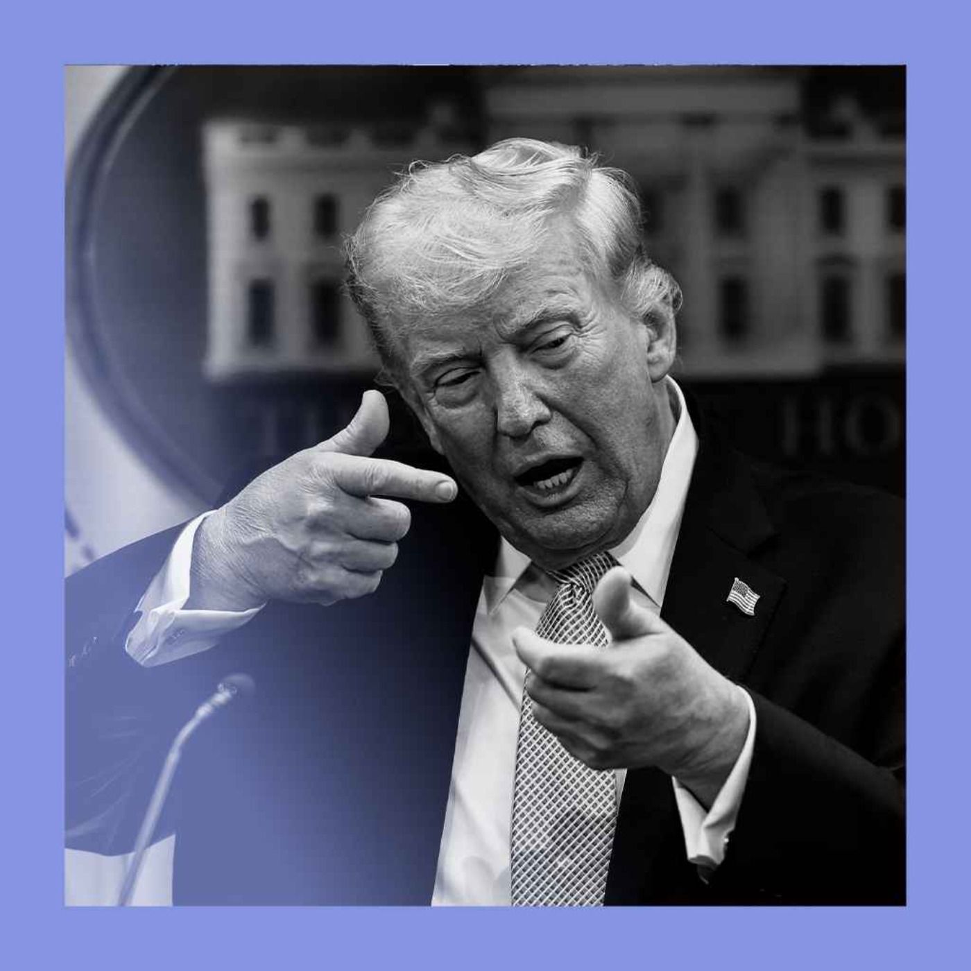 Over troubled waters: Trump’s bridge-and-plant plot — Mohamed Guhaad's podcast cover