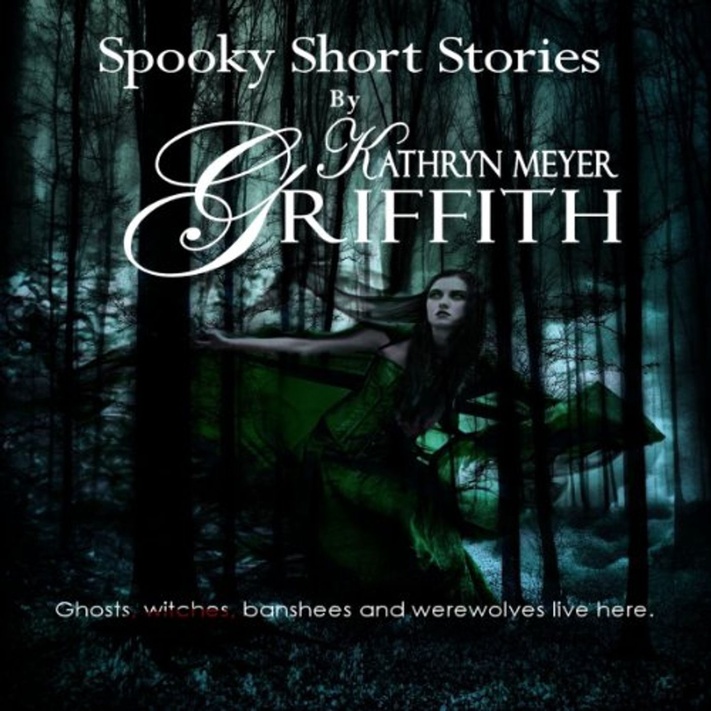 Four Spooky Short Stories Audiobook by Kathryn Meyer Griffith episode artwork