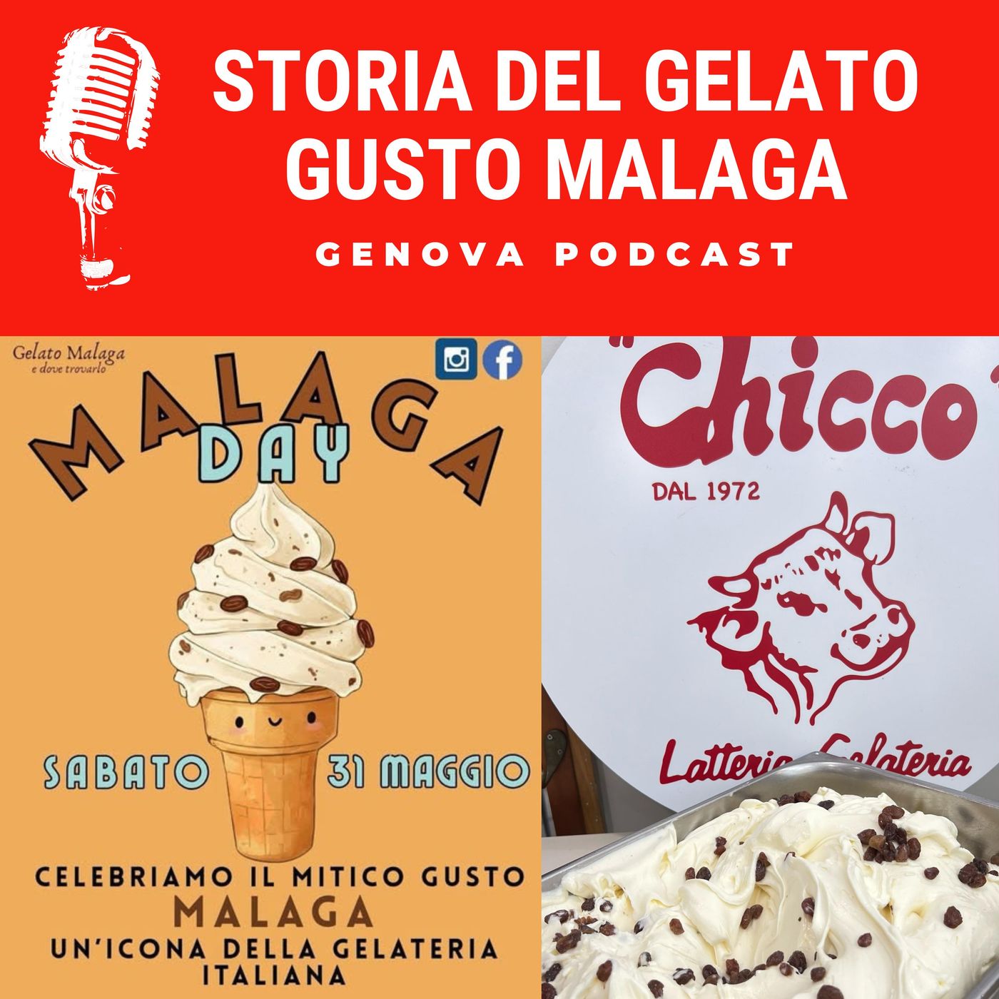 Storia del gelato gusto Malaga