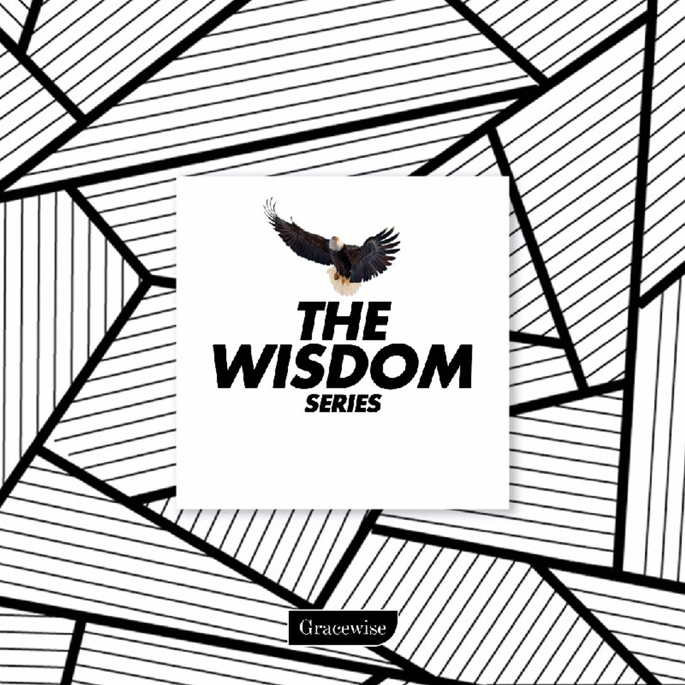 The Wisdom Series - Getting Wisdom episode artwork