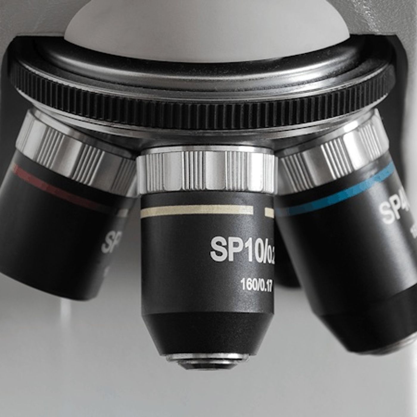 Are IVF Babies Knit Together by God Too?