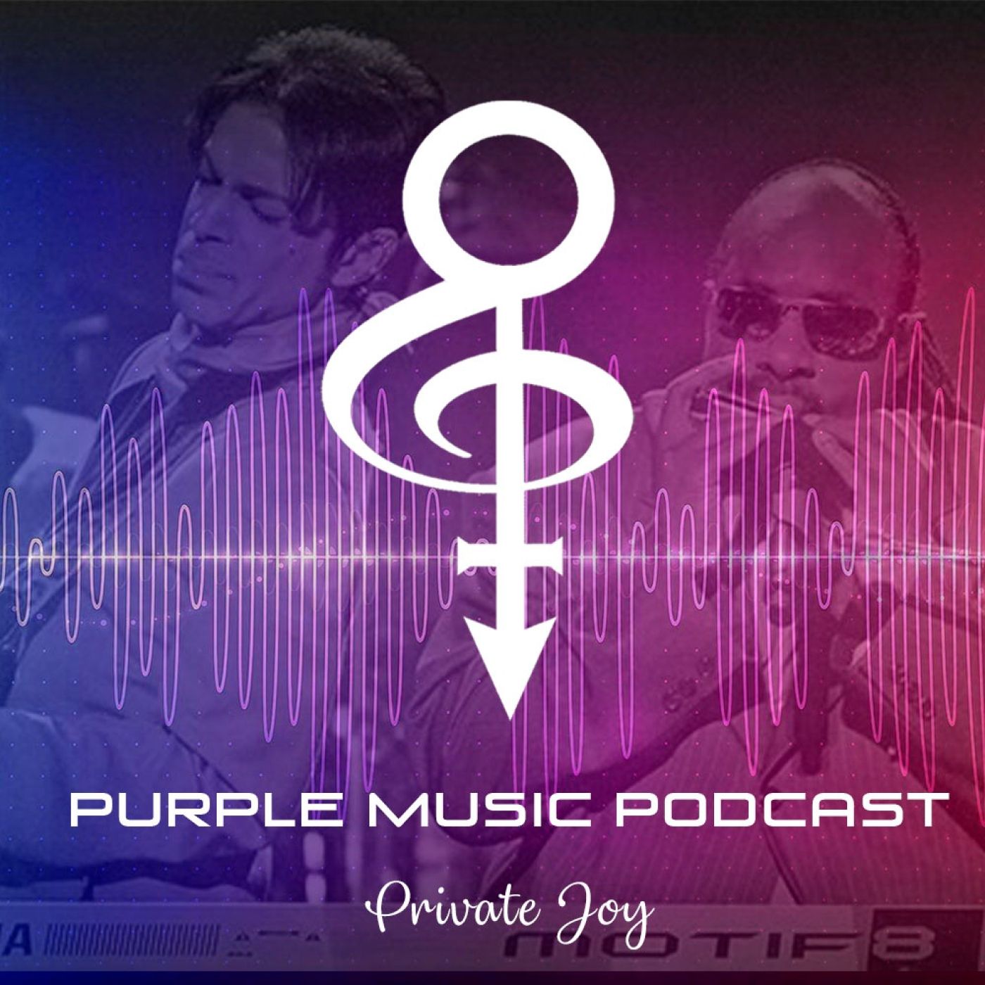 Purple Music Podcast -Private Joy 14 - Colaboraciones de Prince en canciones de otros artistas - Episodio exclusivo para mecenas episode artwork
