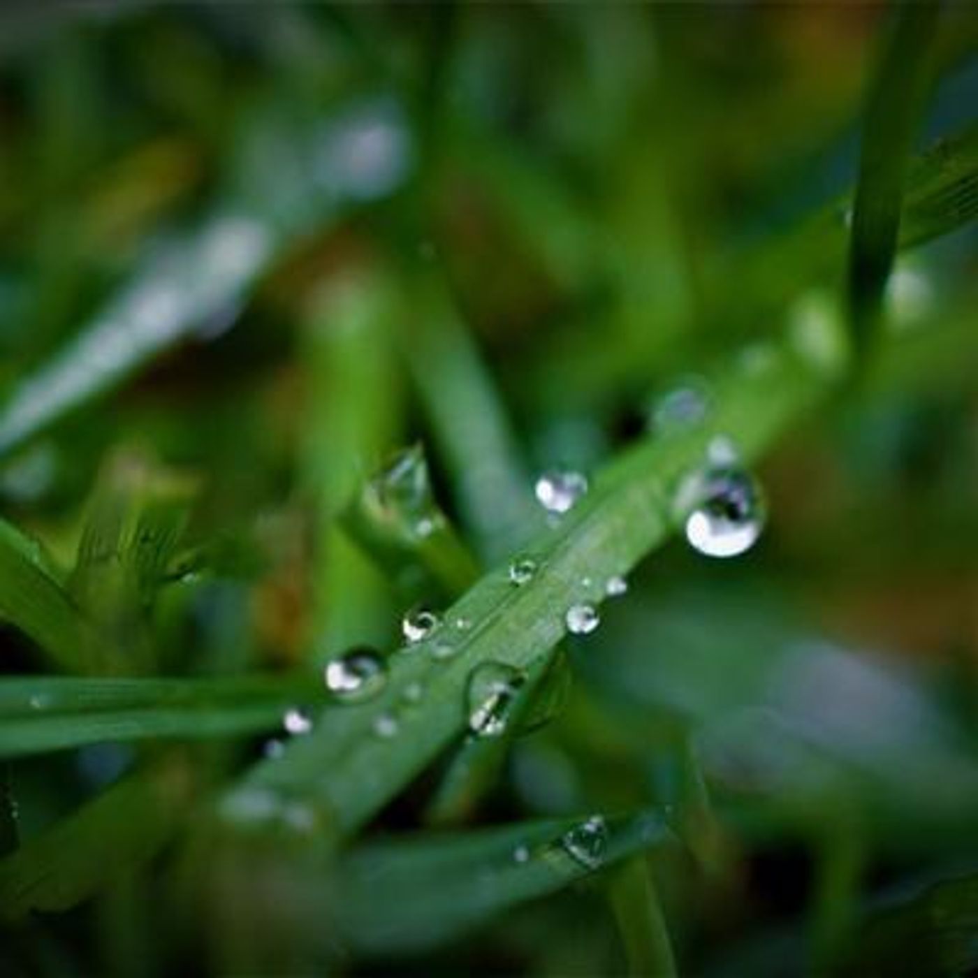 Sleep Sounds by Tmsoft