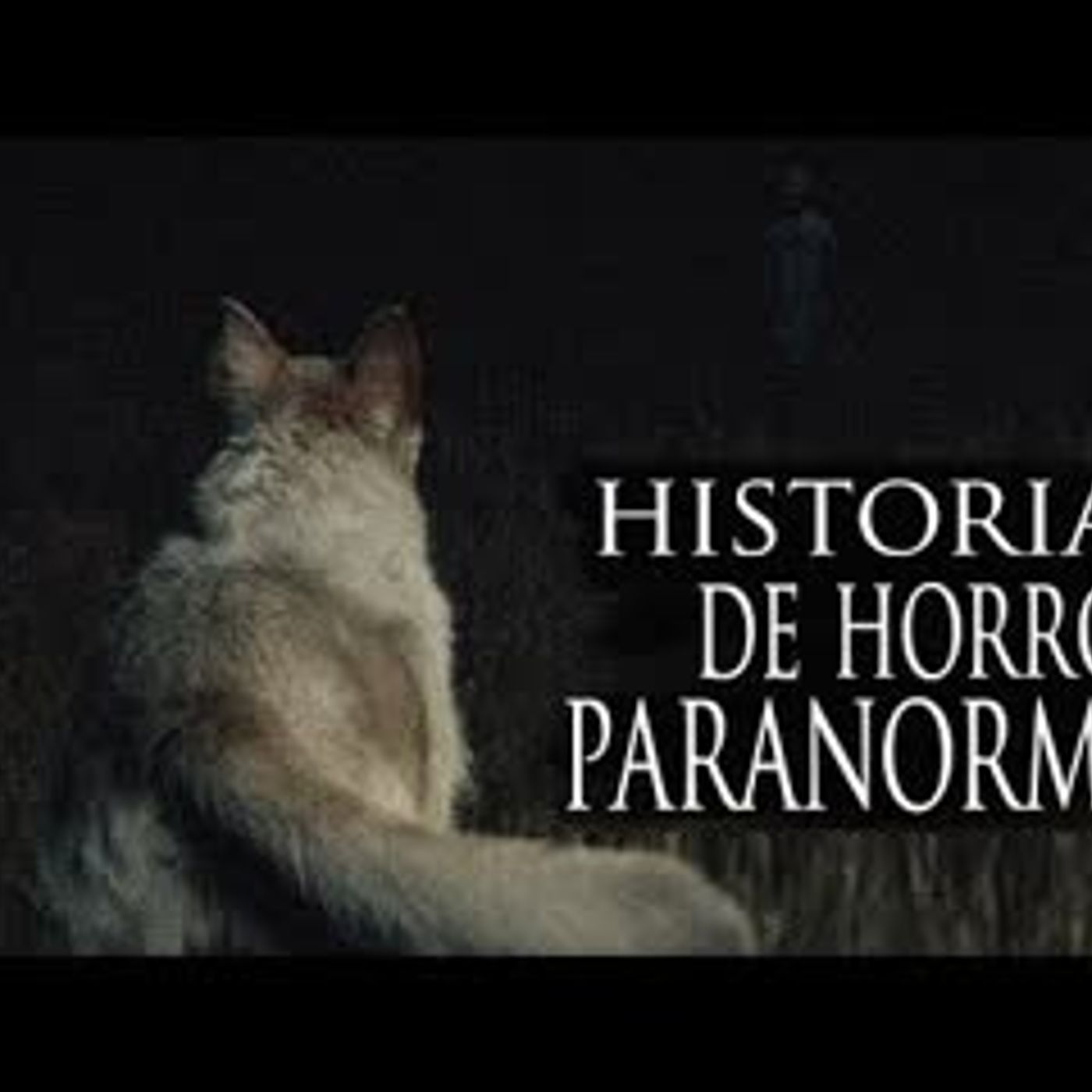 A QUÉ LE LADRAN LOS PERROS