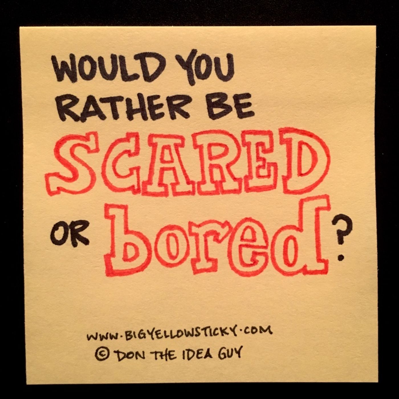 Scared or Bored : BYS 241
