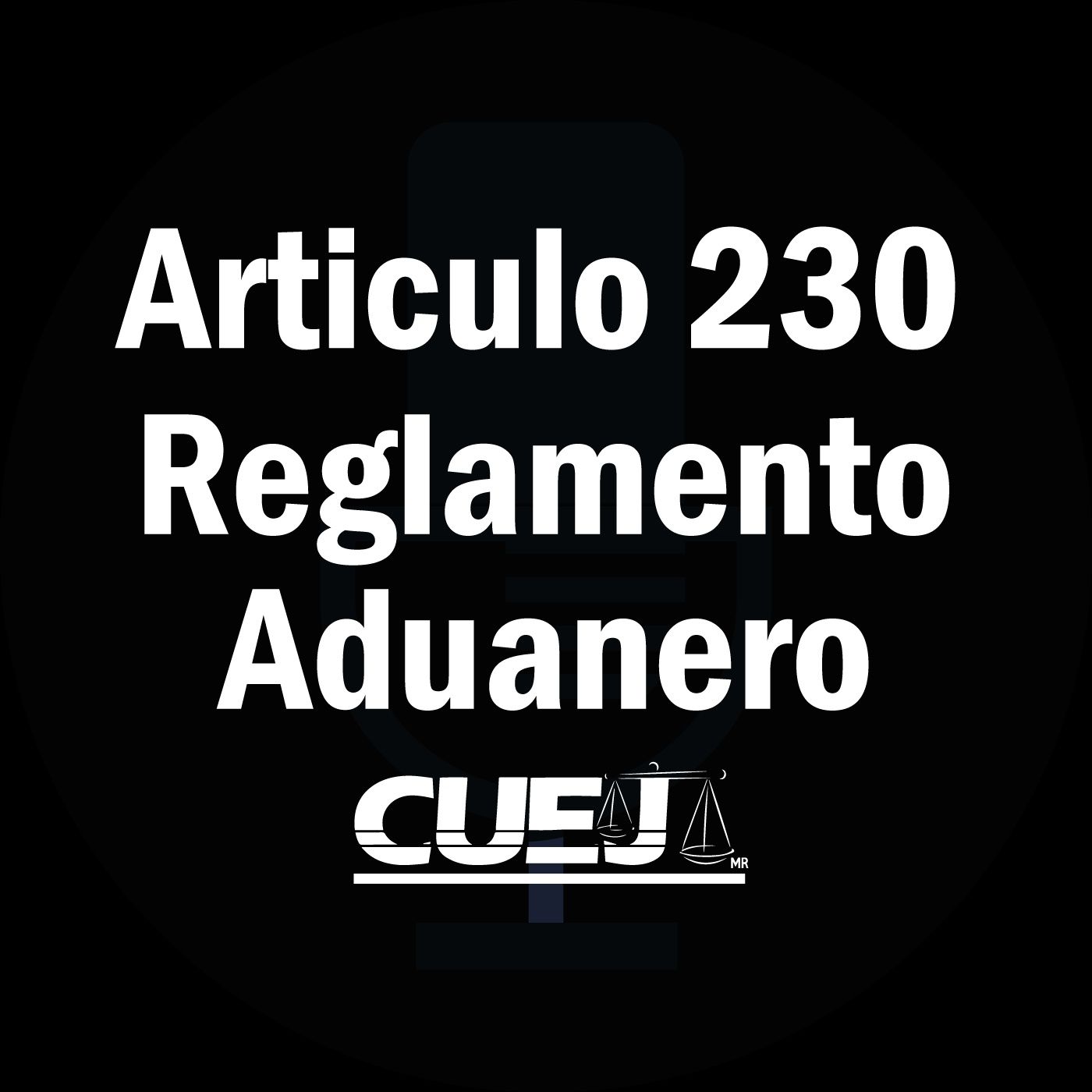 Reglamento de la ley aduanera Podcast - Articulo 230 Reglamento de la