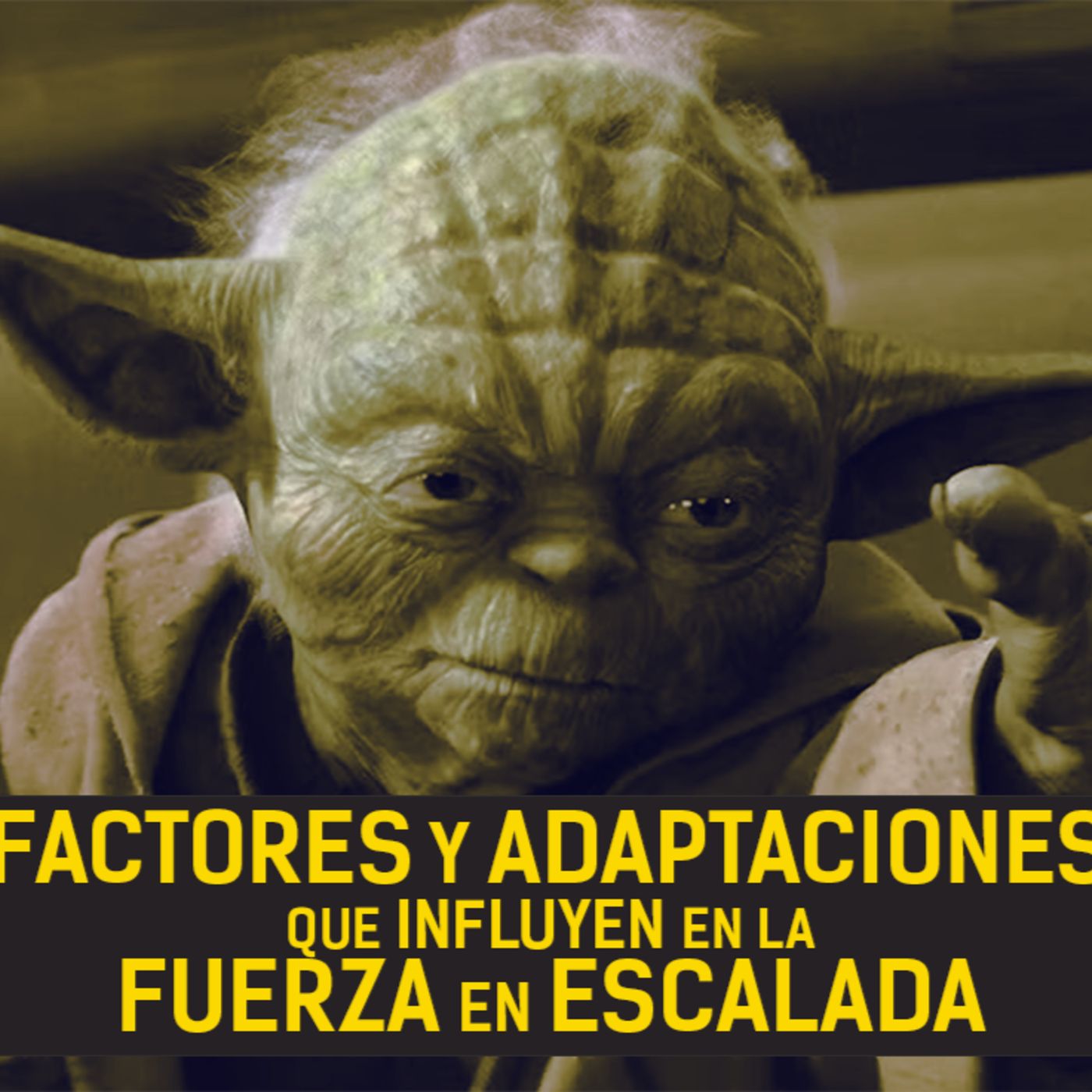 FACTORES y ADAPTACIONES que Influyen en la FUERZA en Escalada episode artwork