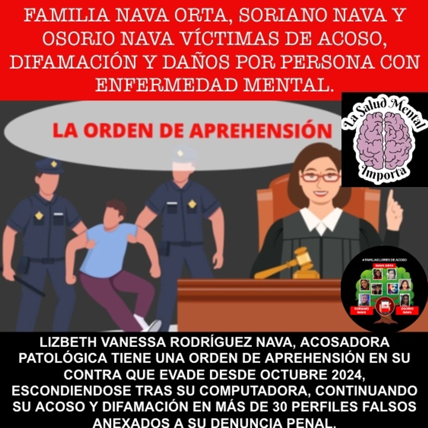 Acoso de Lizbeth Vanessa Rodríguez Nava, testimonio de Familias Nava Orta, Soriano Nava, Osorio Nava podcast artwork