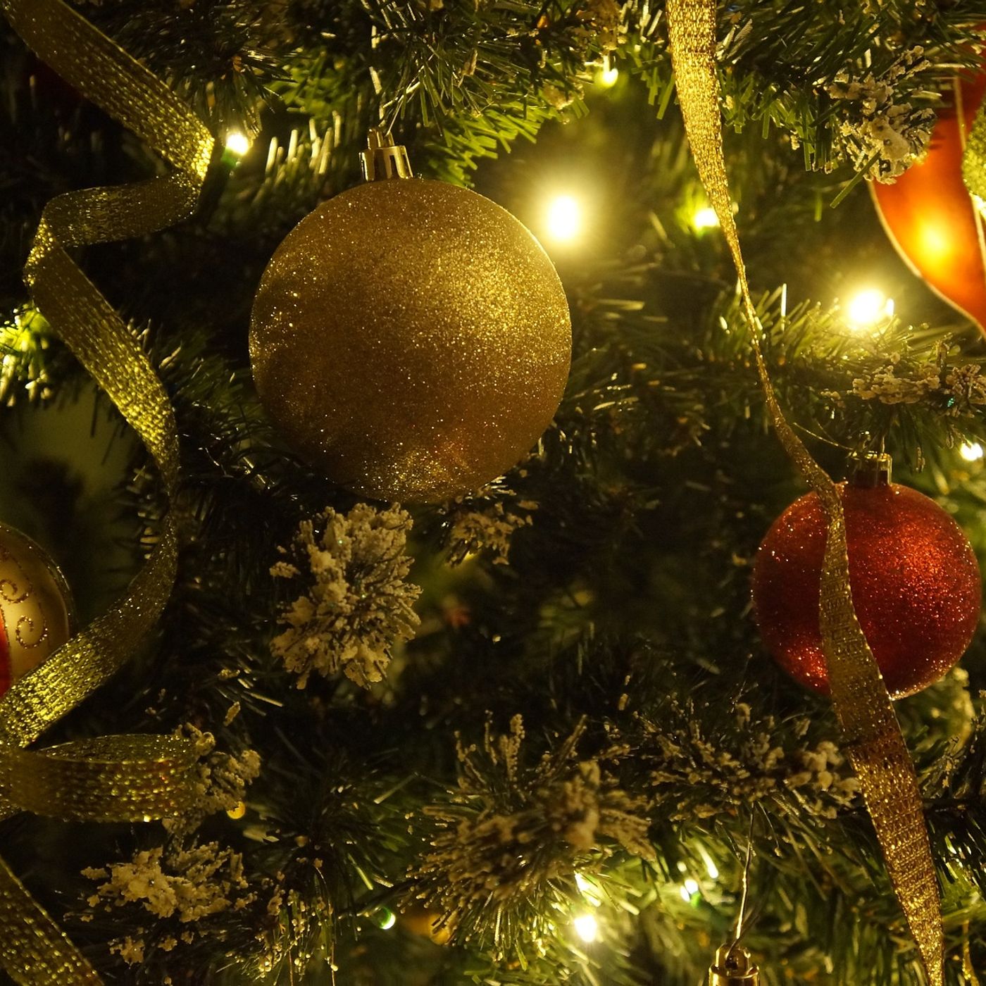 L'albero di Natale piu grande del mondo si trova a Gubbio episode artwork