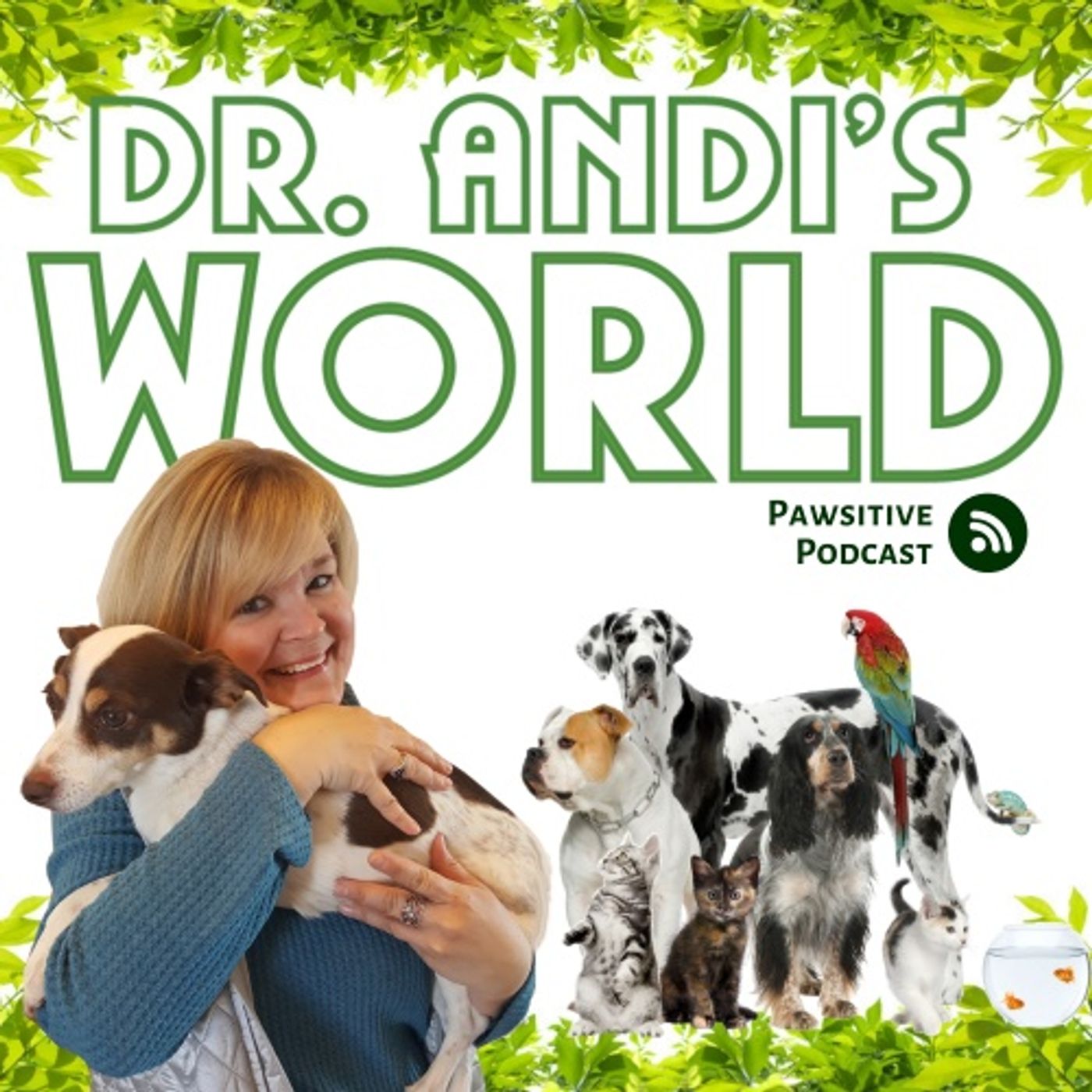 Dr. Andi\'s World