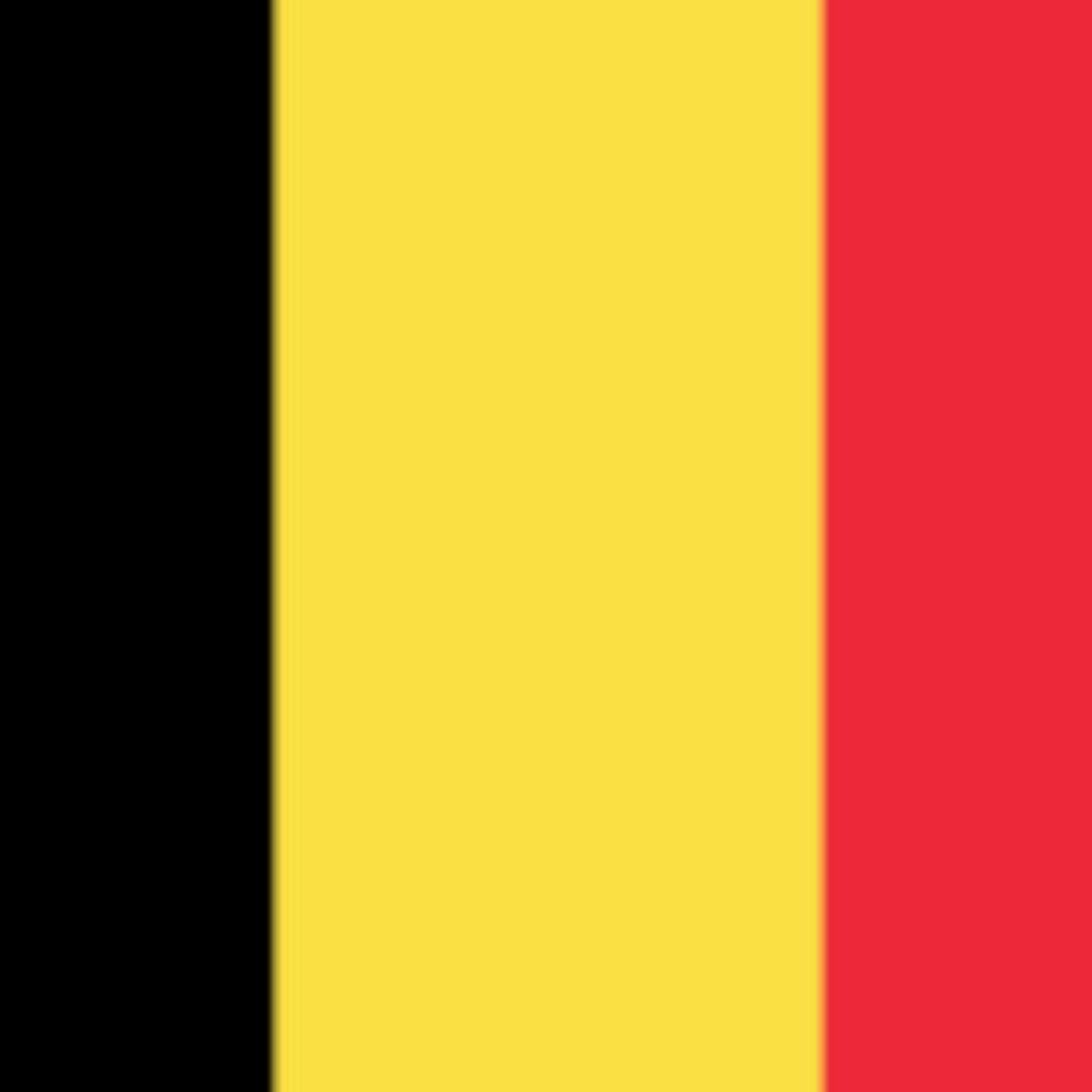 Journée stéréotypée d’un adolescent belge episode artwork