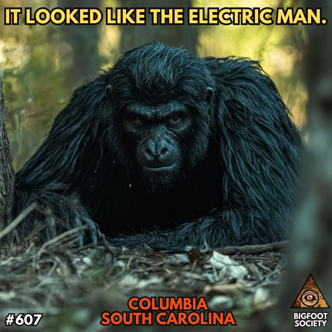 It Looked Like the Electric Man! | South Carolina