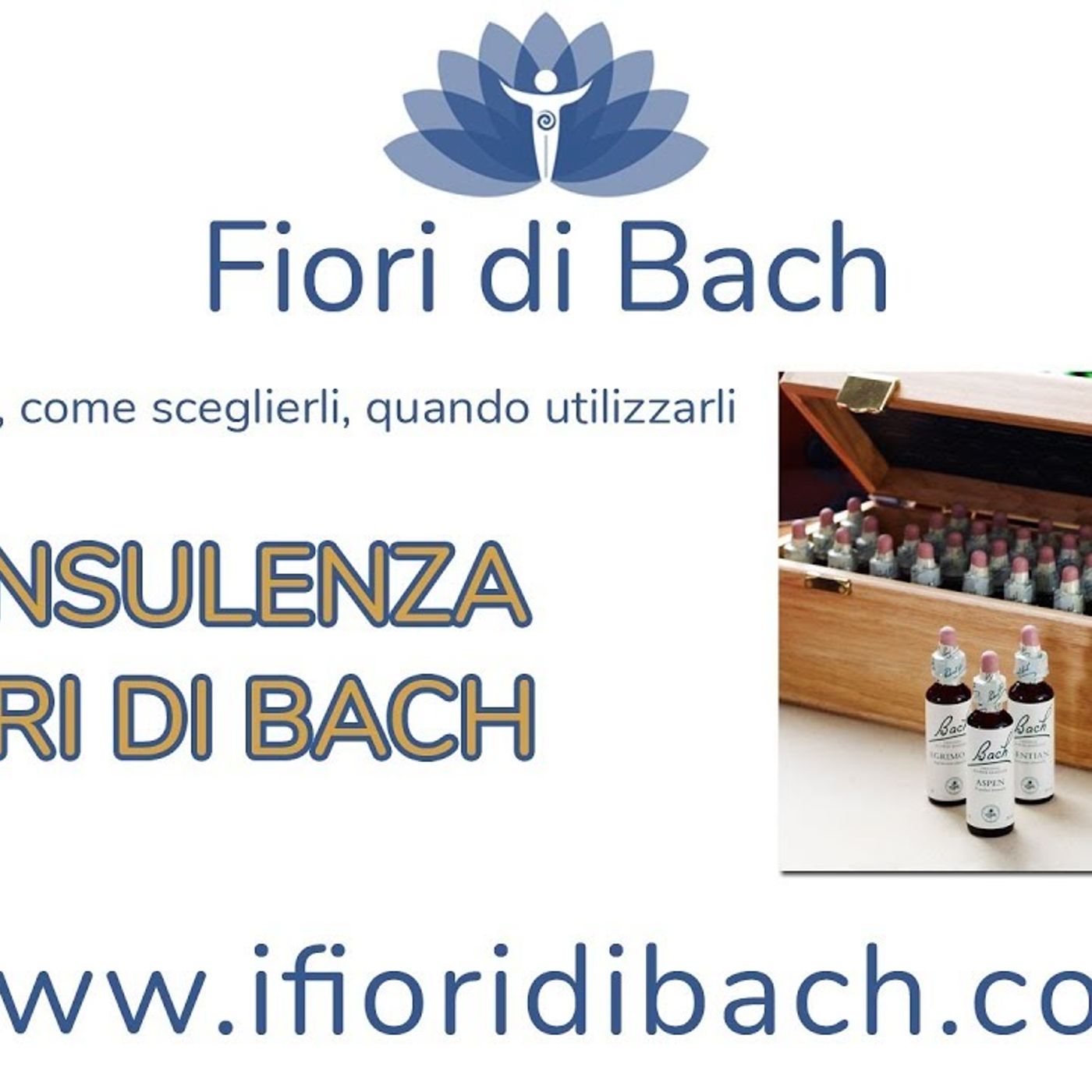 Consulenza fiori di Bach episode artwork