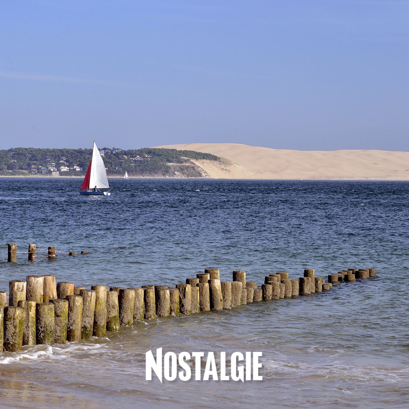 Le bassin d'Arcachon et le Cap Ferret : une plage entre deux mers, des huîtres sur pilotis et la lumière qui a conquis Pascal Obispo episode artwork
